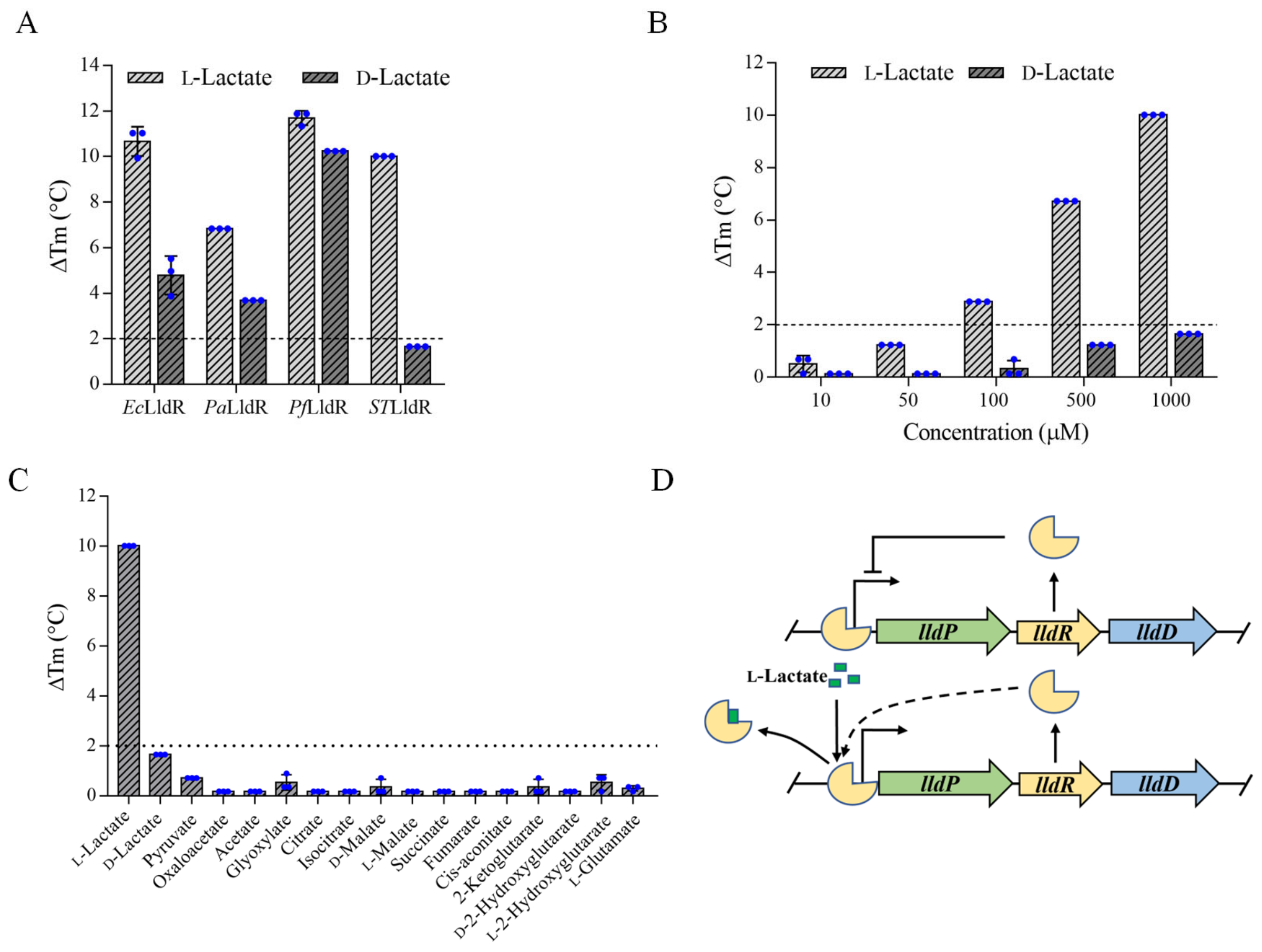 Biosensors Free FullText A Selective Fluorescent lLactate