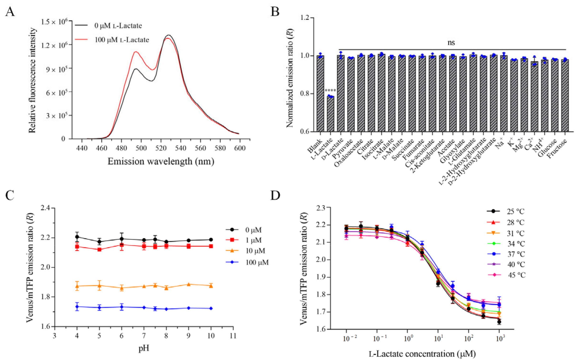 Biosensors Free FullText A Selective Fluorescent lLactate