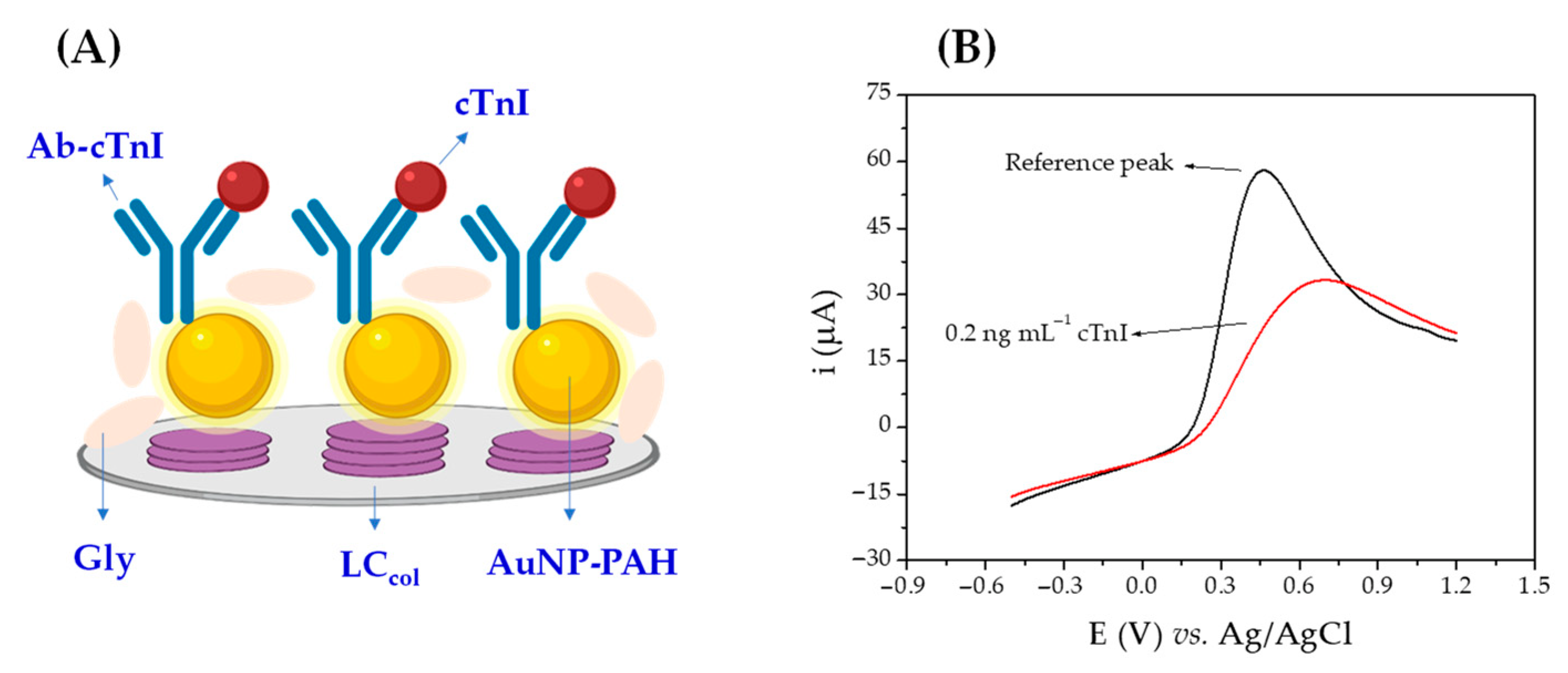 Biosensors 12 01113 g002 Biosensors 12 01113 g002
