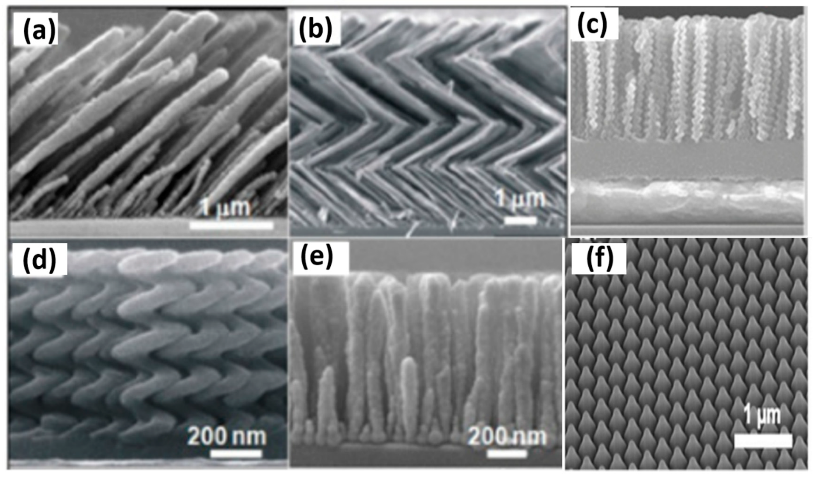 Biosensors 12 01115 g002