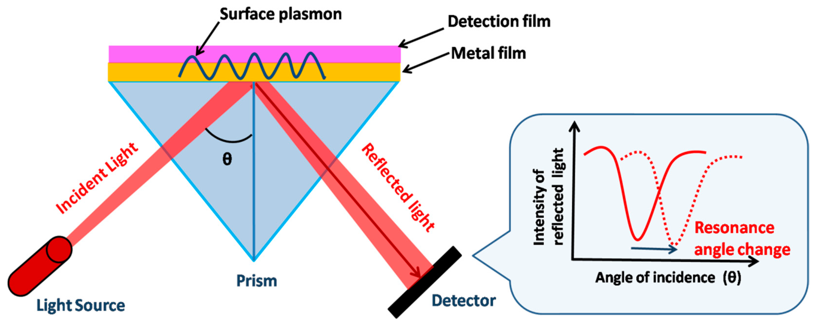 Biosensors 12 01115 g006