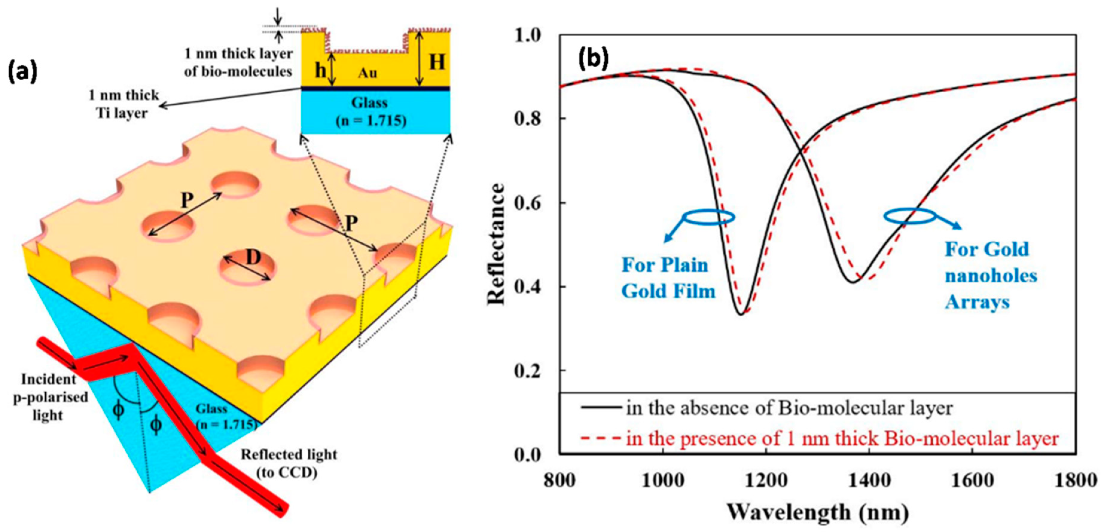 Biosensors 12 01115 g008