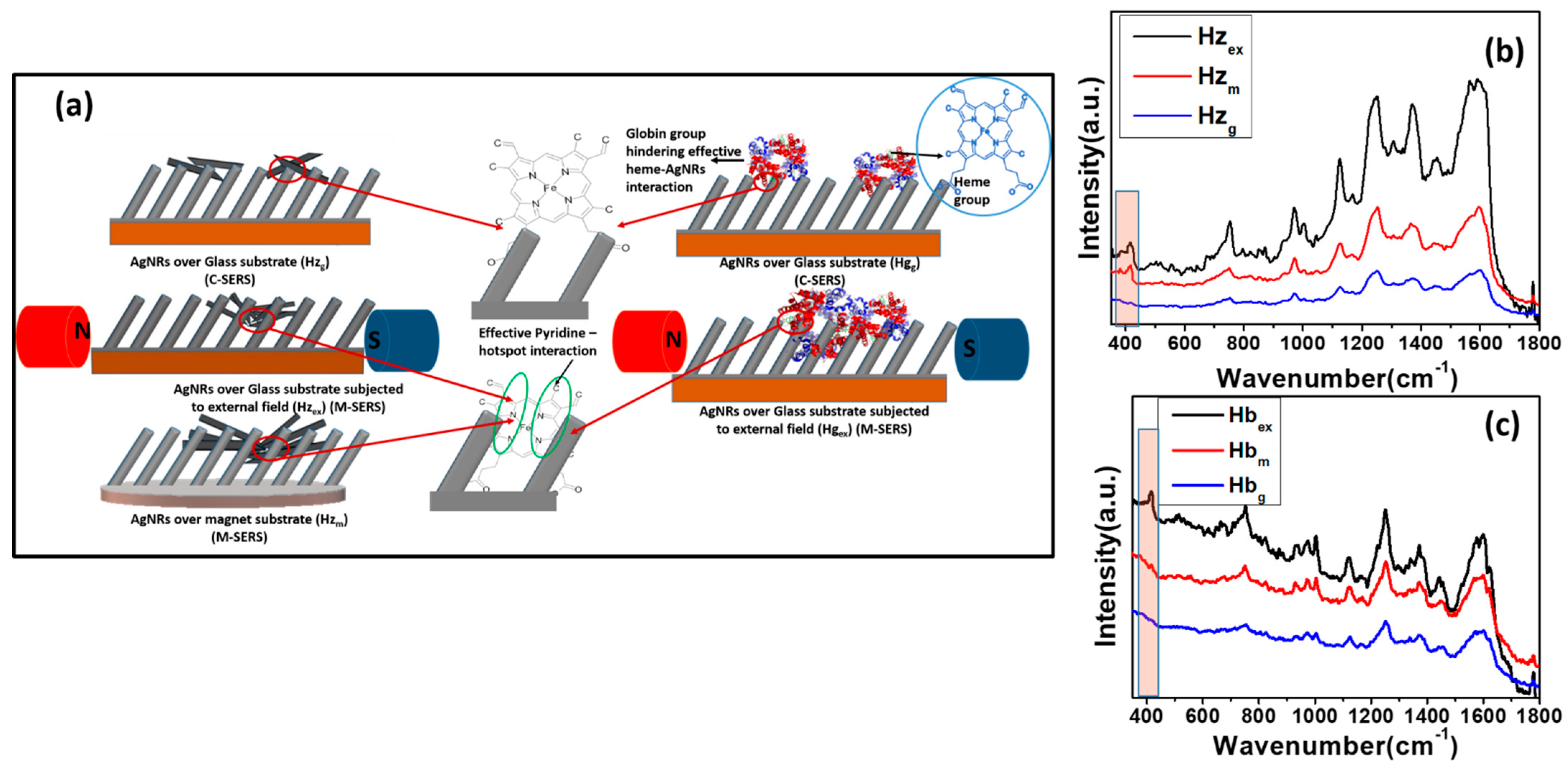 Biosensors 12 01115 g010