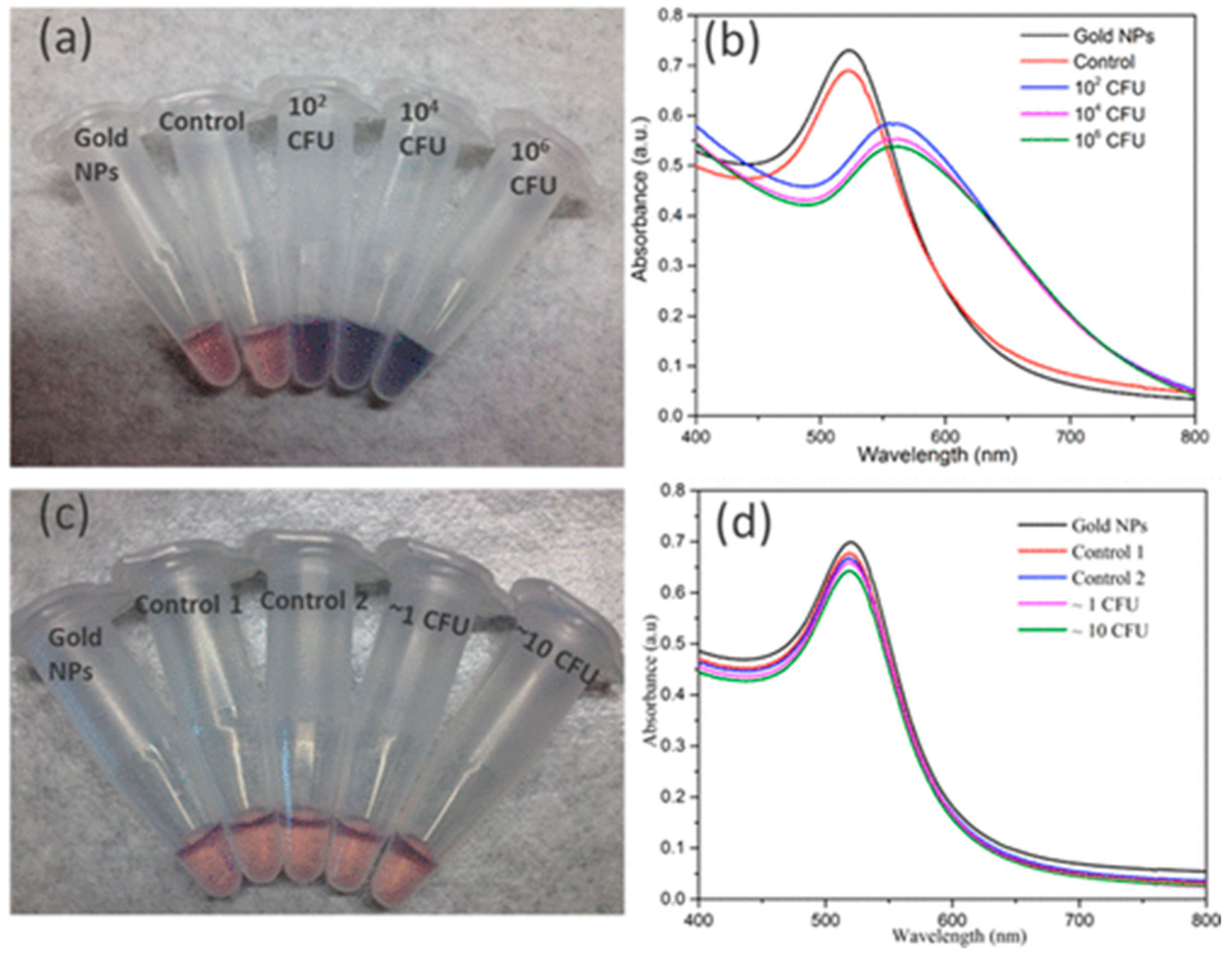 Biosensors 12 01115 g016