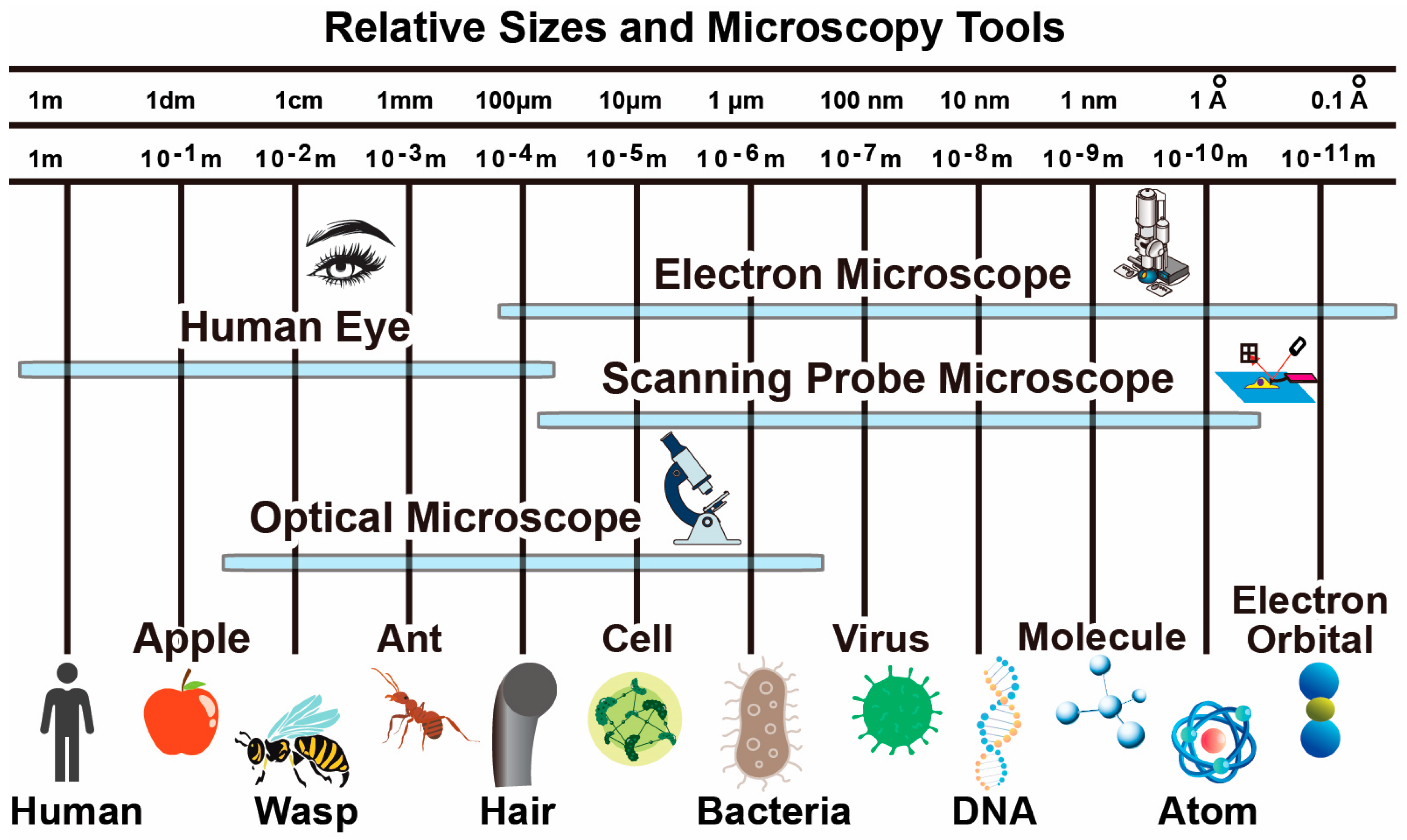 Basic Principles Of Atomic Force Microscopy Encyclopedia MDPI 1020281-solving-quadratic-equations-by-factoring