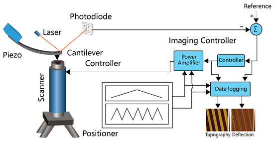 Biosensors 12 01116 g002 550