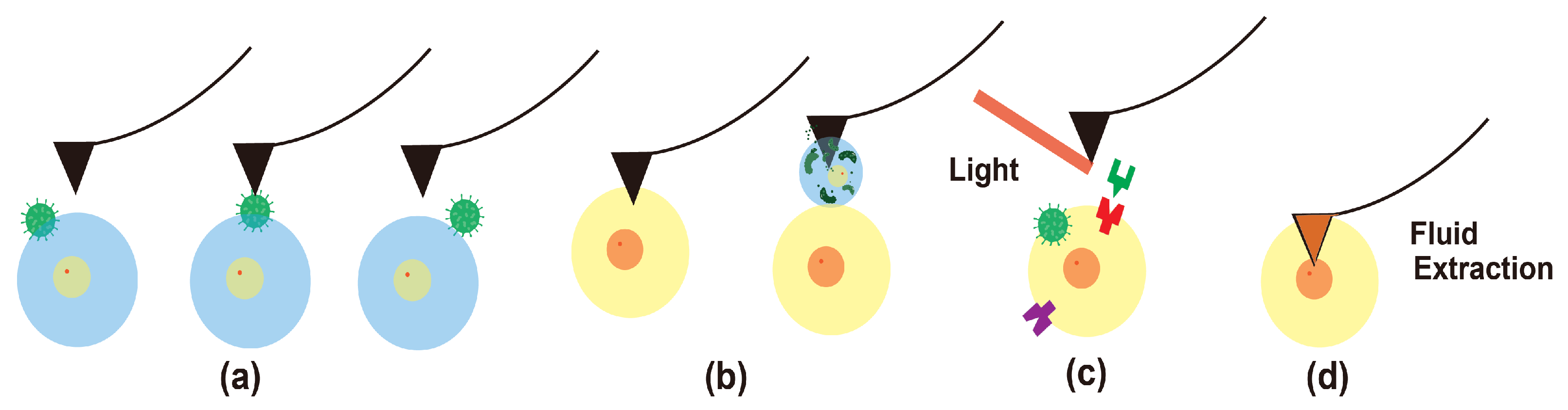 Biosensors 12 01116 g003
