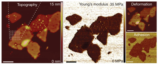 Biosensors 12 01116 g005 550