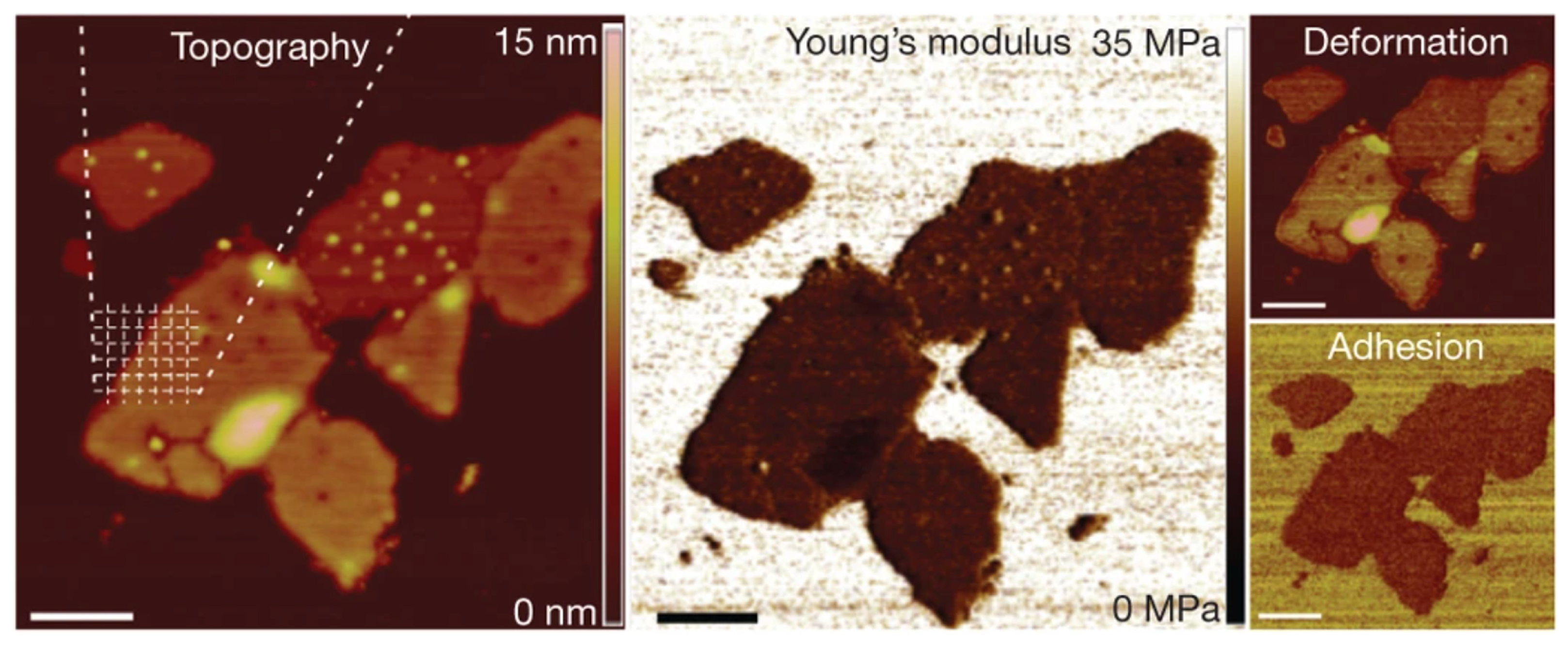 Biosensors 12 01116 g005