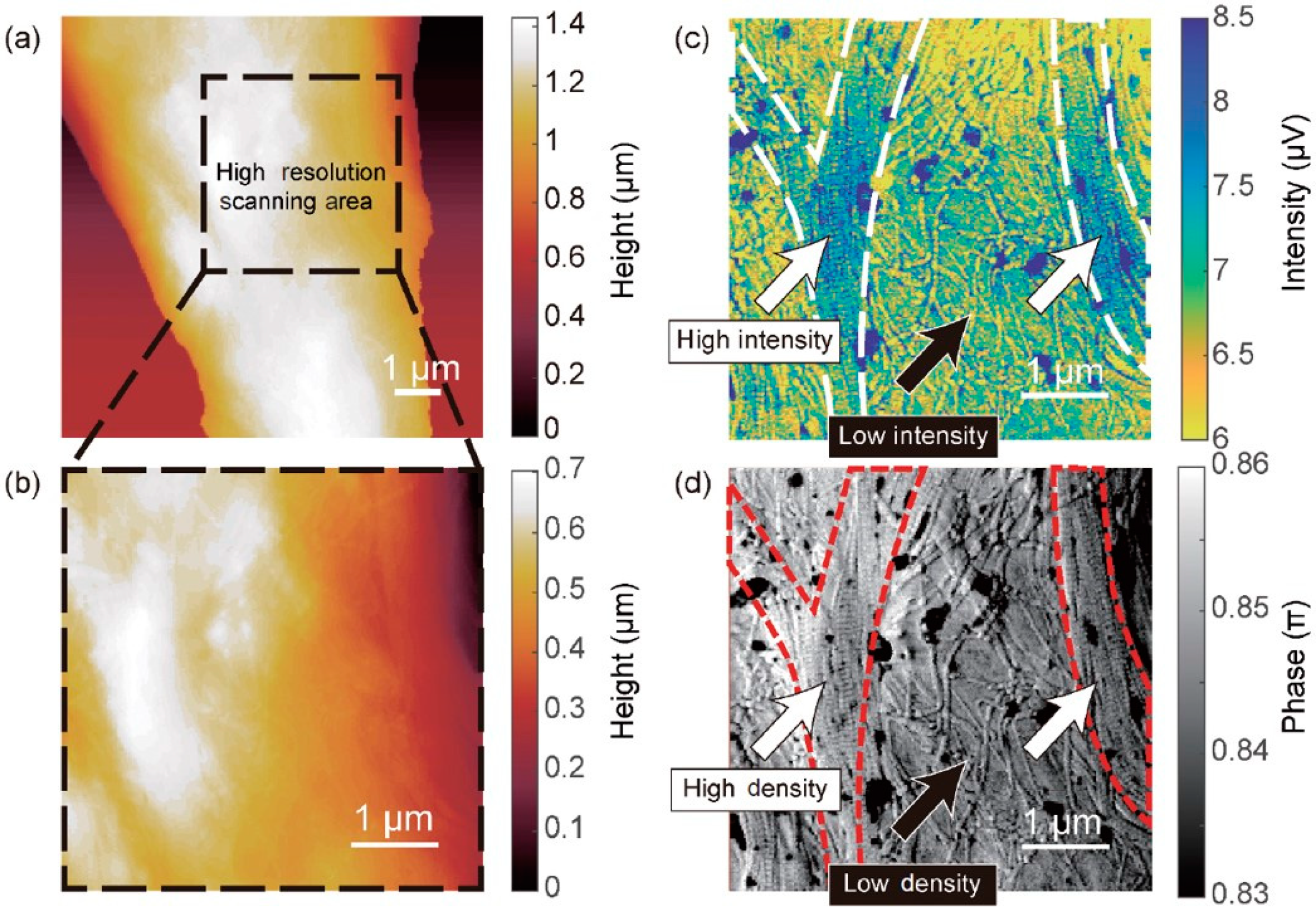 Biosensors 12 01116 g006