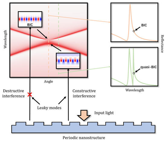 アース Noncoding RNA-Mediated Epigenetic Regulation in Hepatic