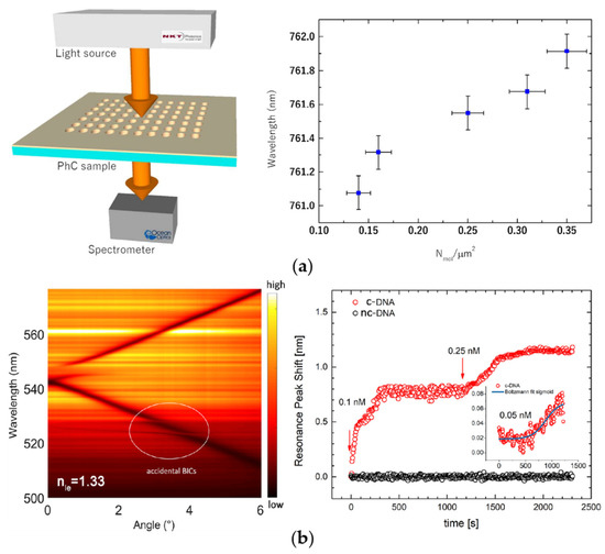 Label-Free Bound-States-in-the-Continuum Biosensors