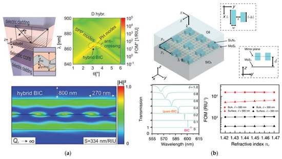 Label-Free Bound-States-in-the-Continuum Biosensors