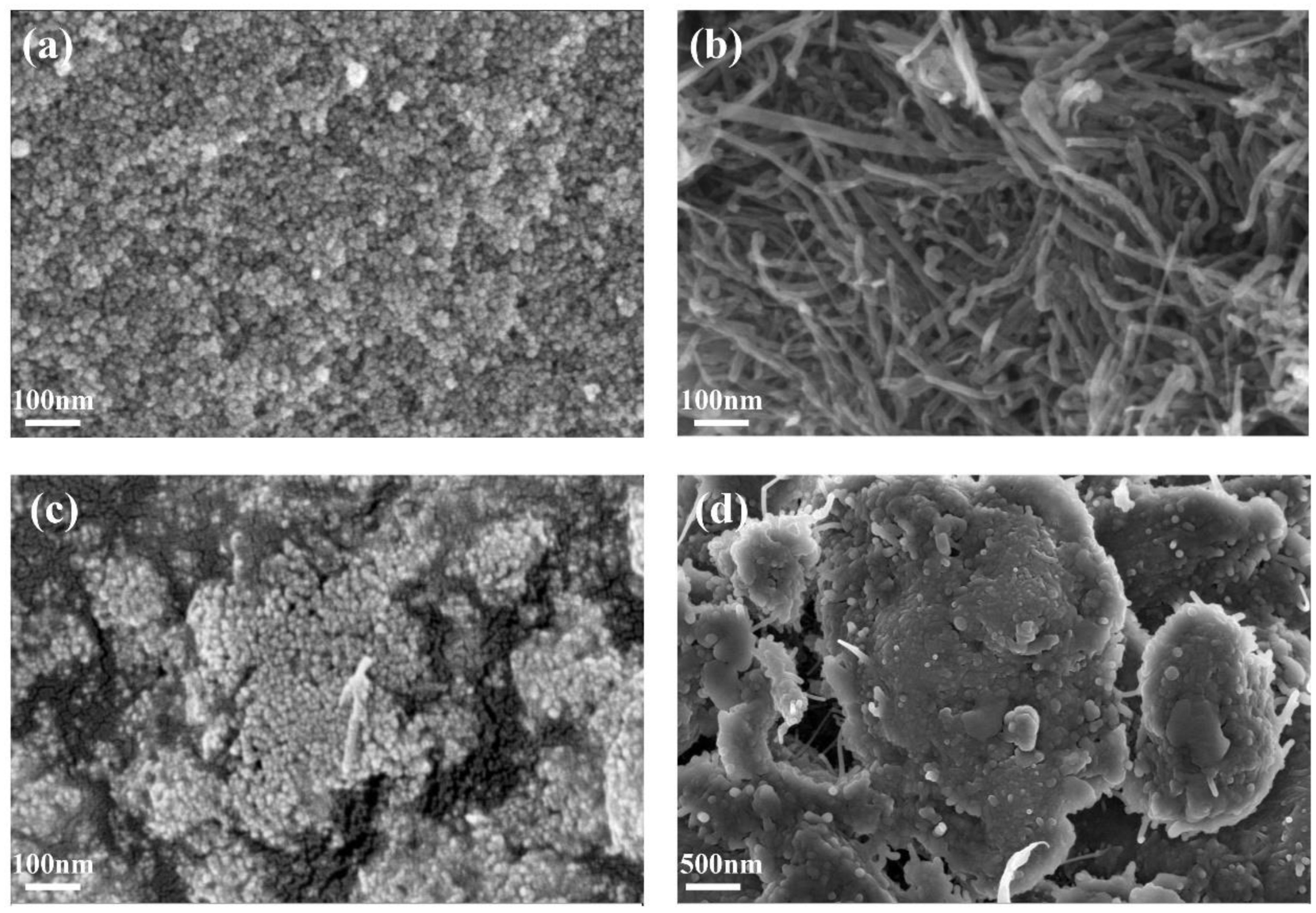 Biosensors 12 01123 g002