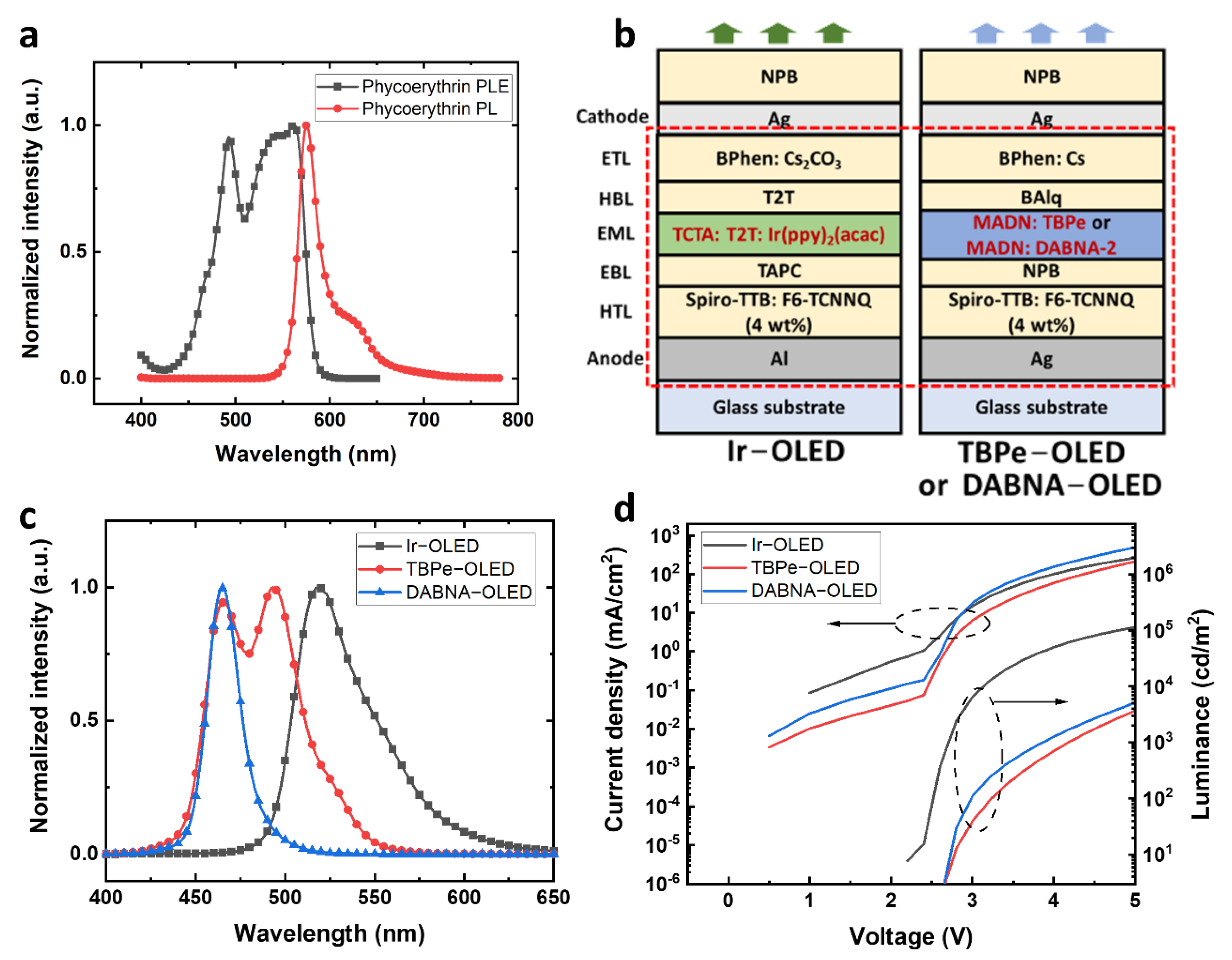 Biosensors 12 01125 g001