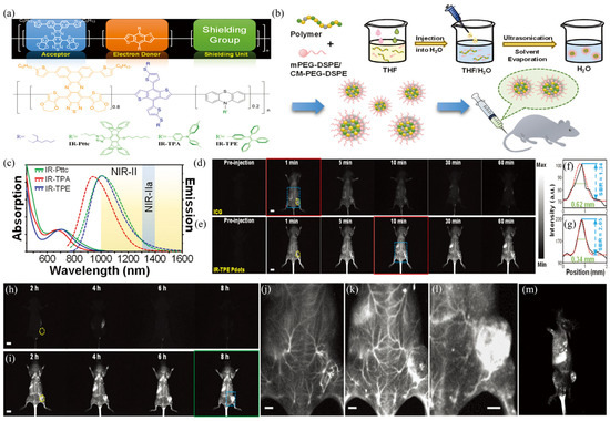 Recent Advances of NIR-II Emissive Semiconducting Polymer
