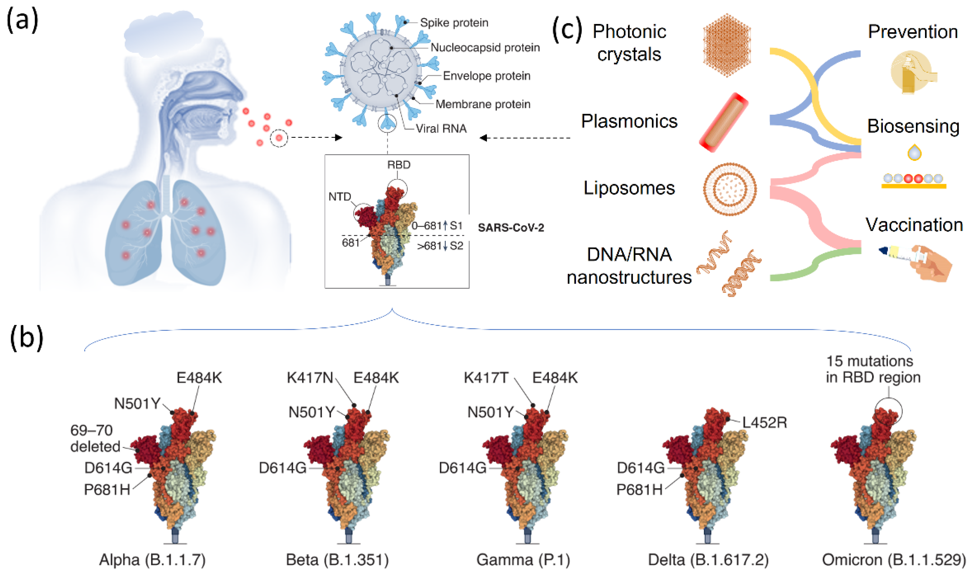 Biosensors 12 01129 g001