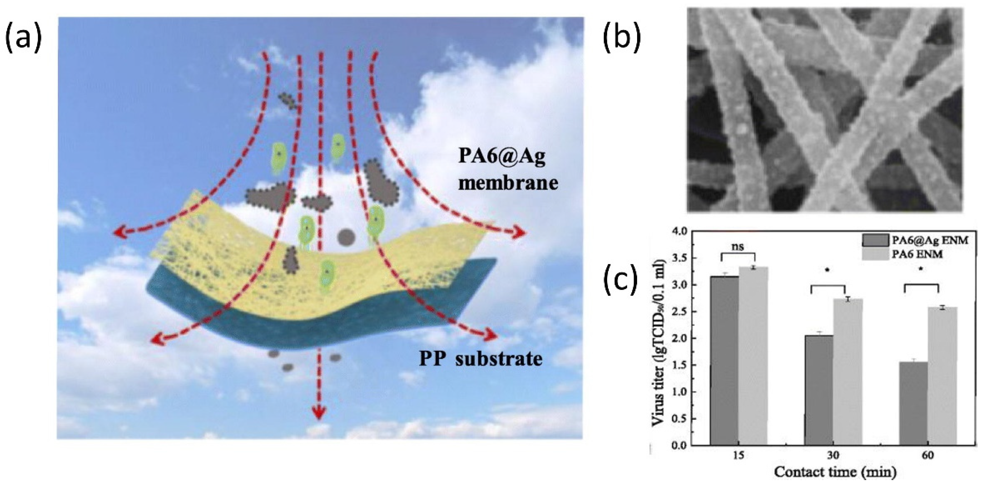 Biosensors 12 01129 g002