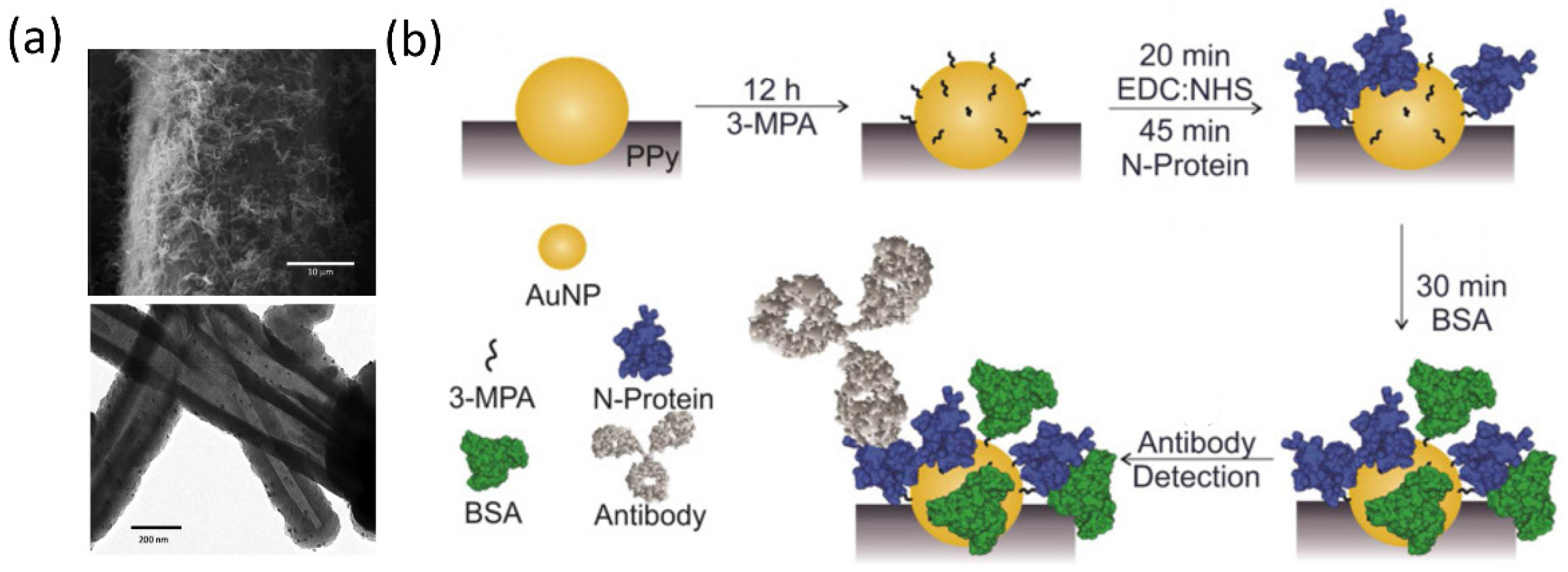 Biosensors 12 01129 g005