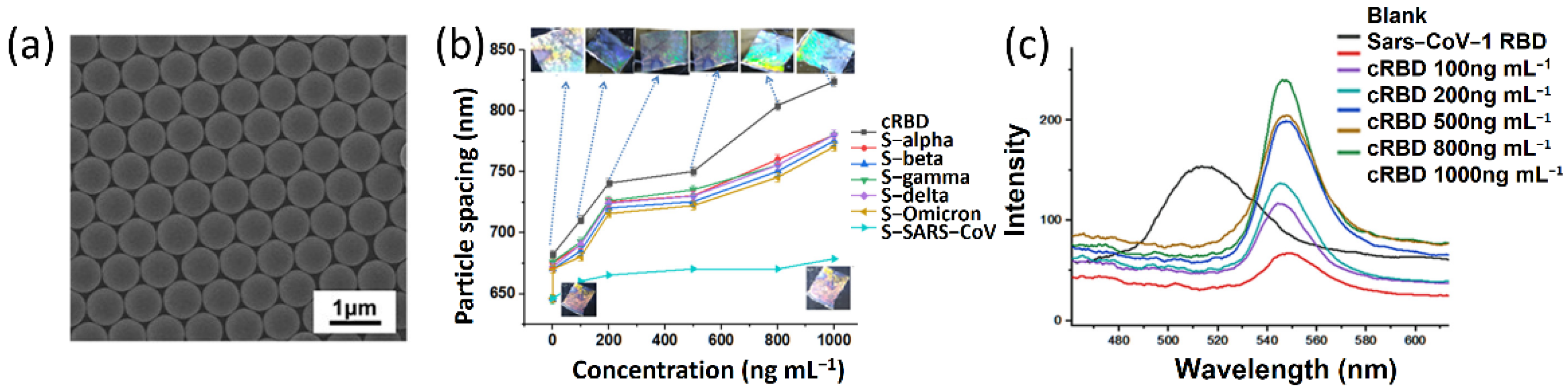 Biosensors 12 01129 g007
