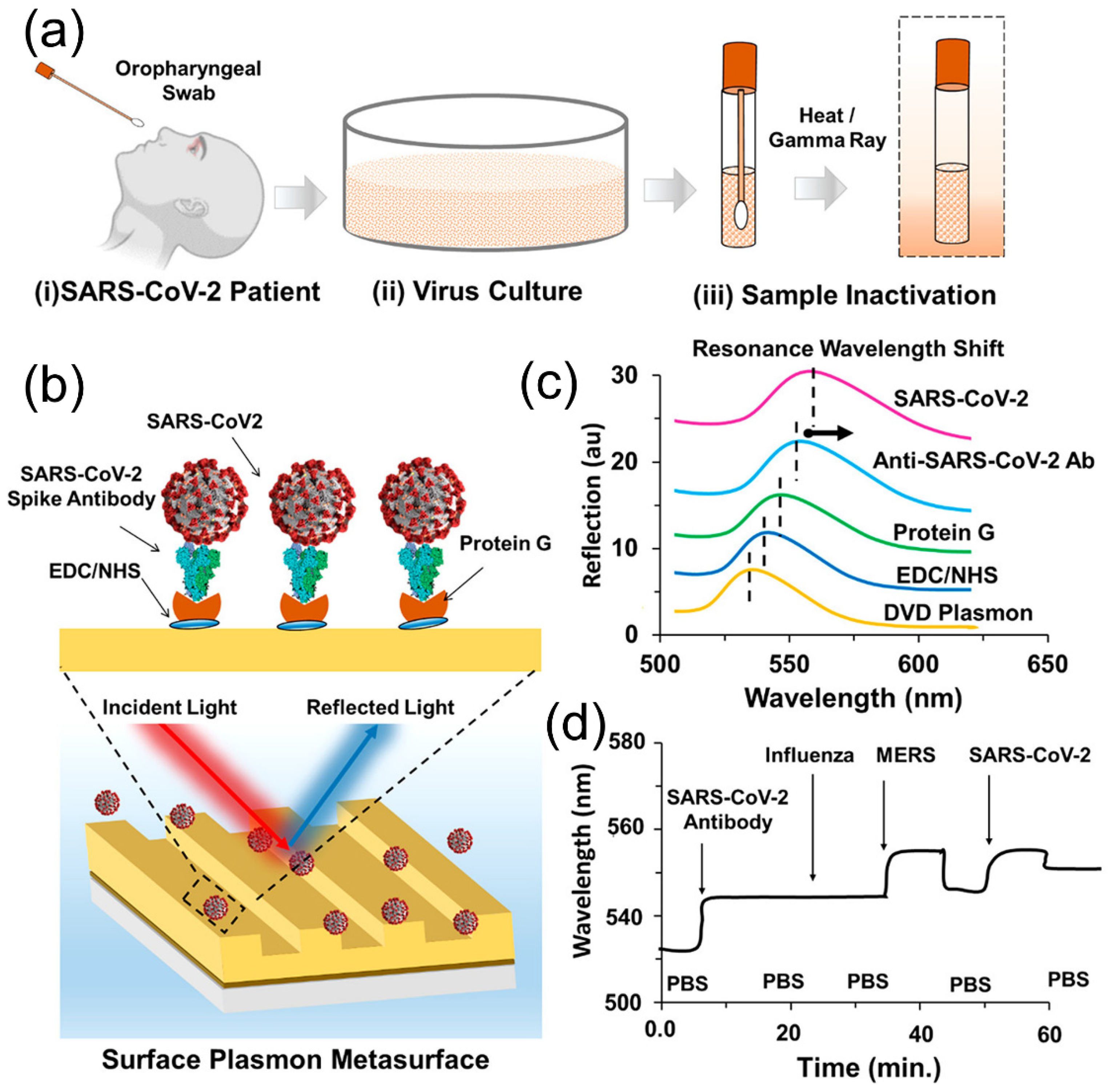 Biosensors 12 01129 g009