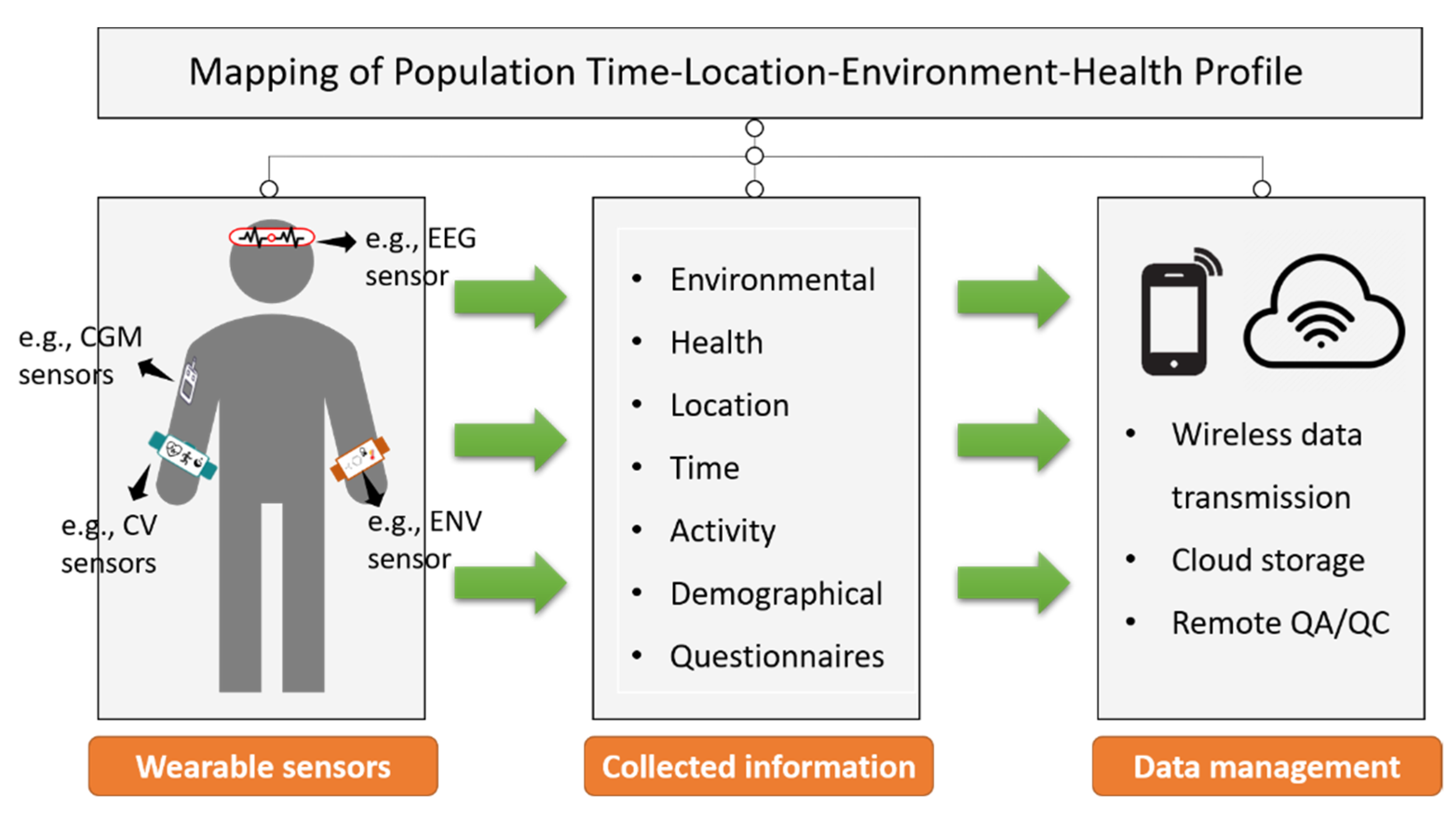 Biosensors 12 01131 g003 Biosensors 12 01131 g003