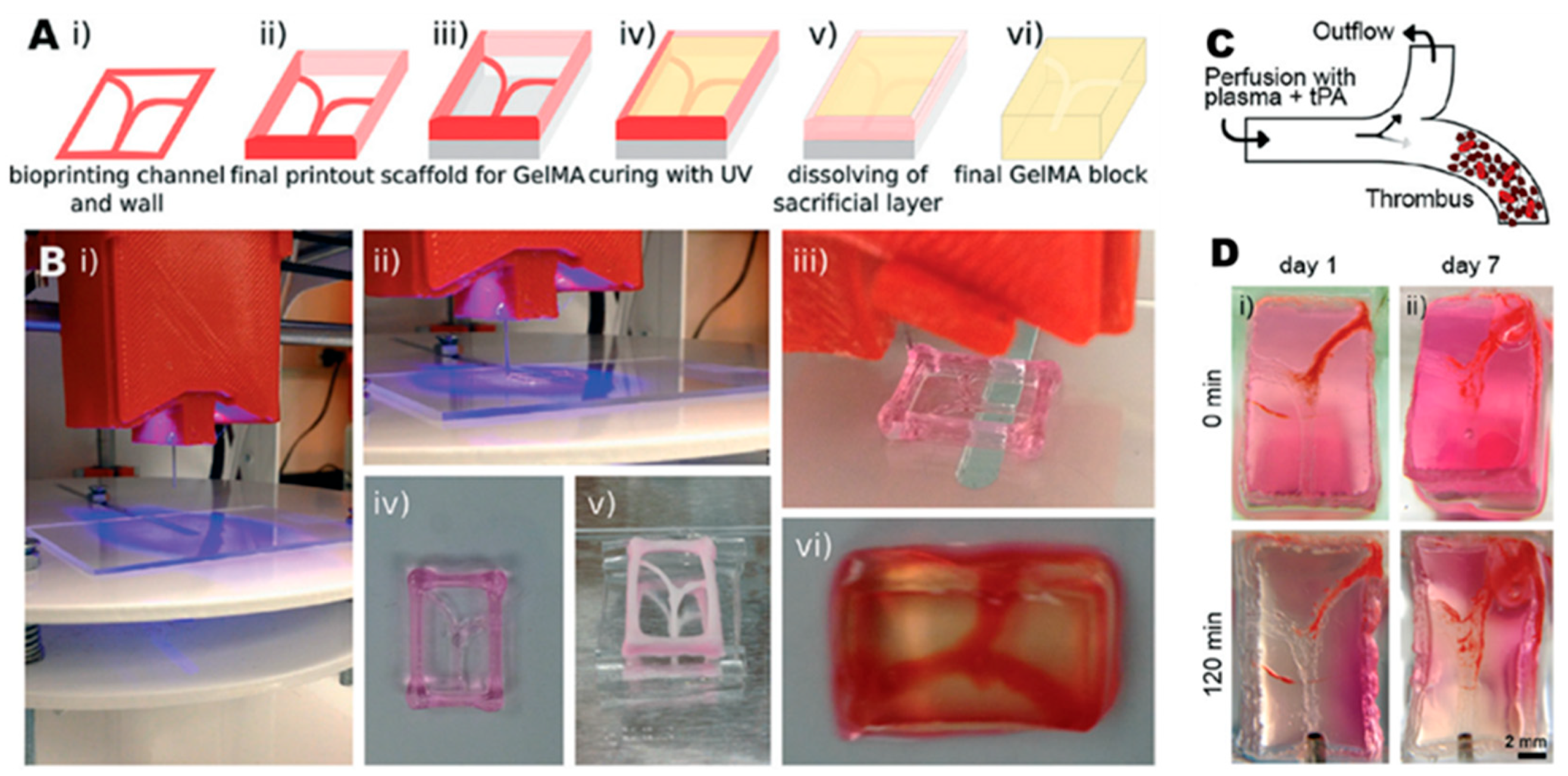 Biosensors 12 01135 g002