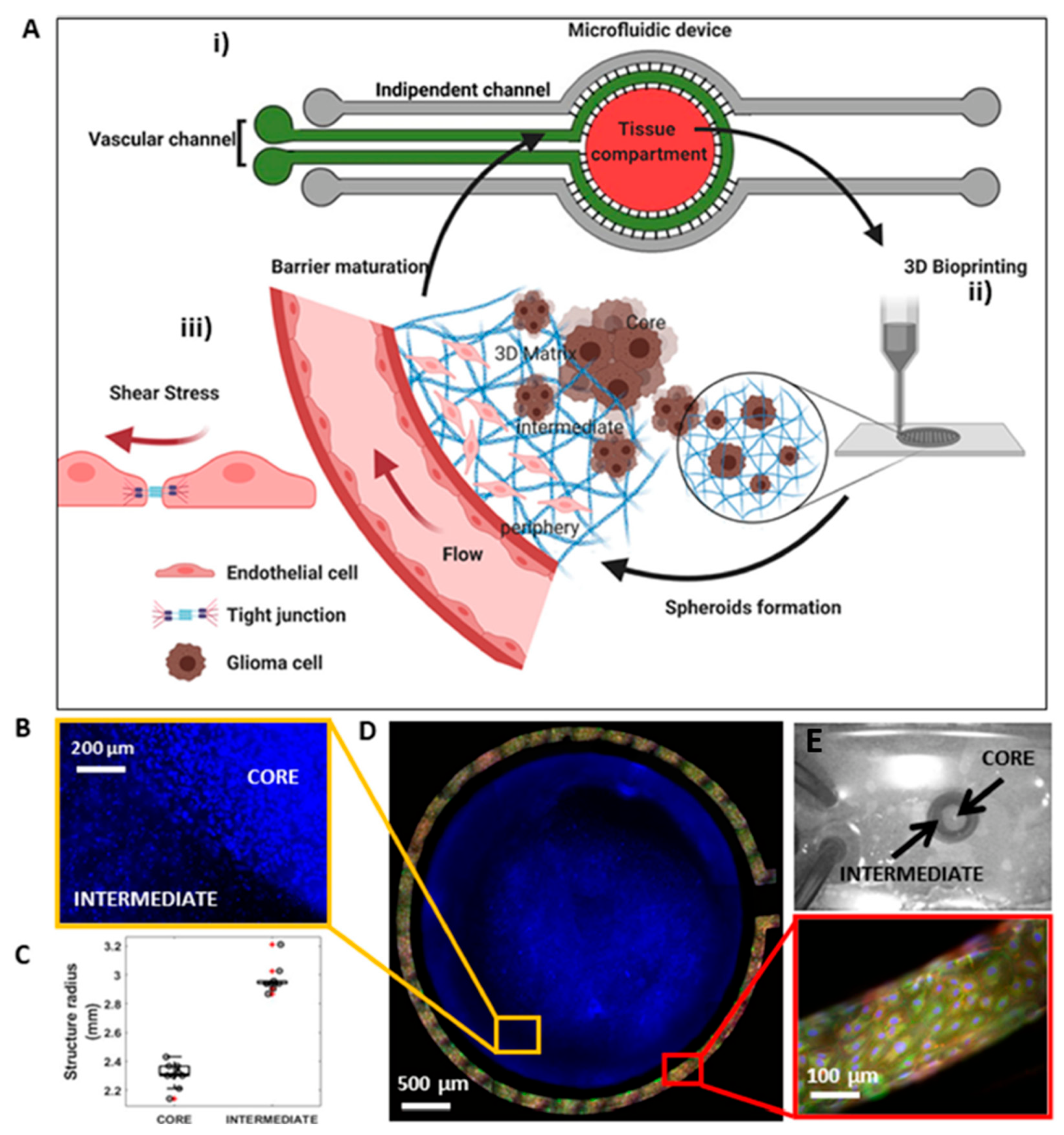 Biosensors 12 01135 g004