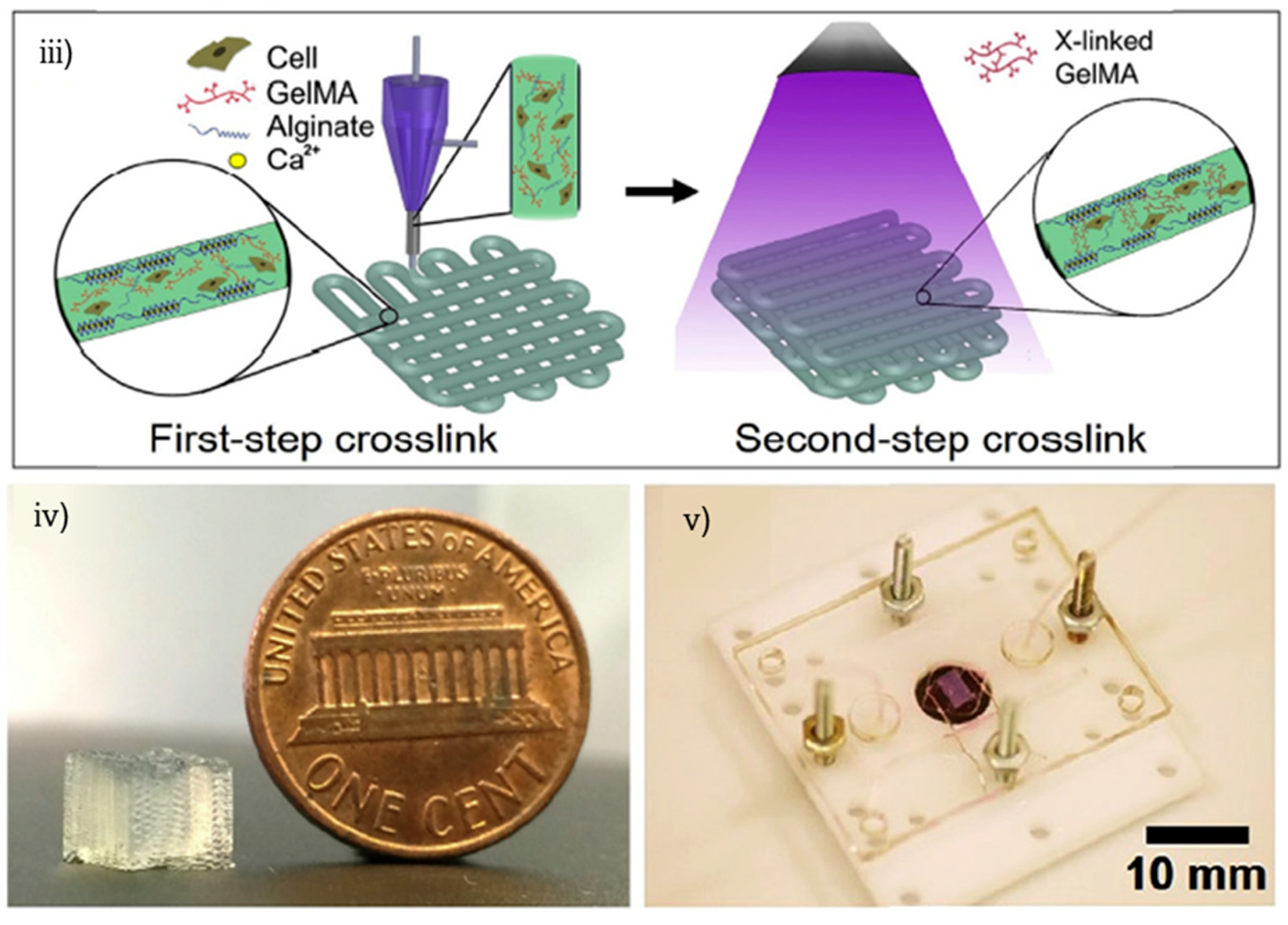 Biosensors 12 01135 g006b