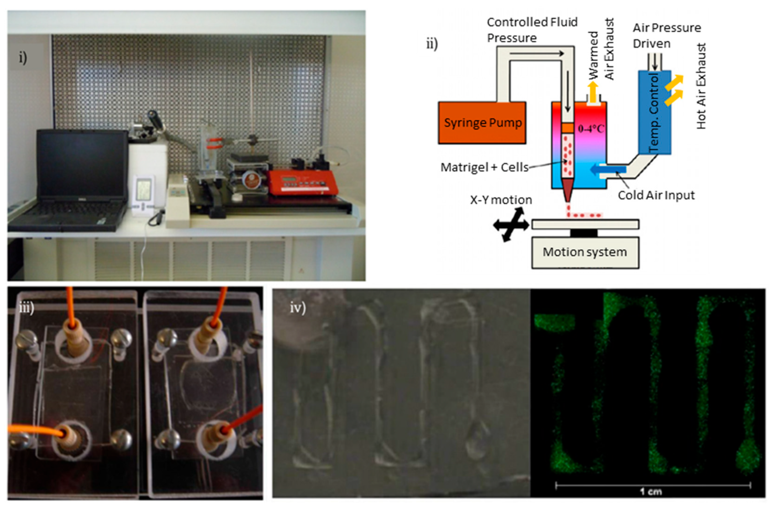 Biosensors 12 01135 g007