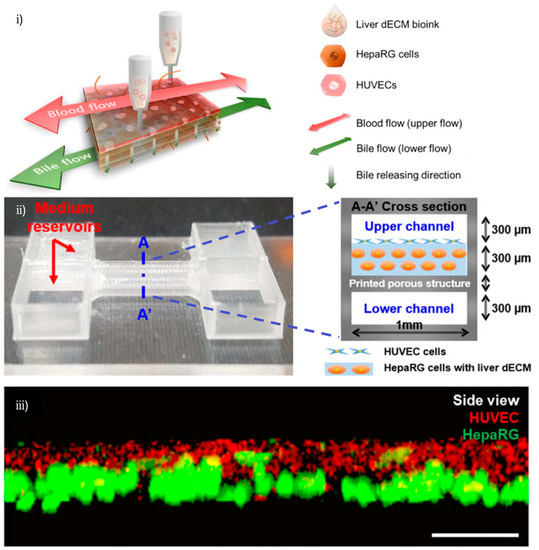 Bioprinting on Organ-on-Chip: Development and Applications