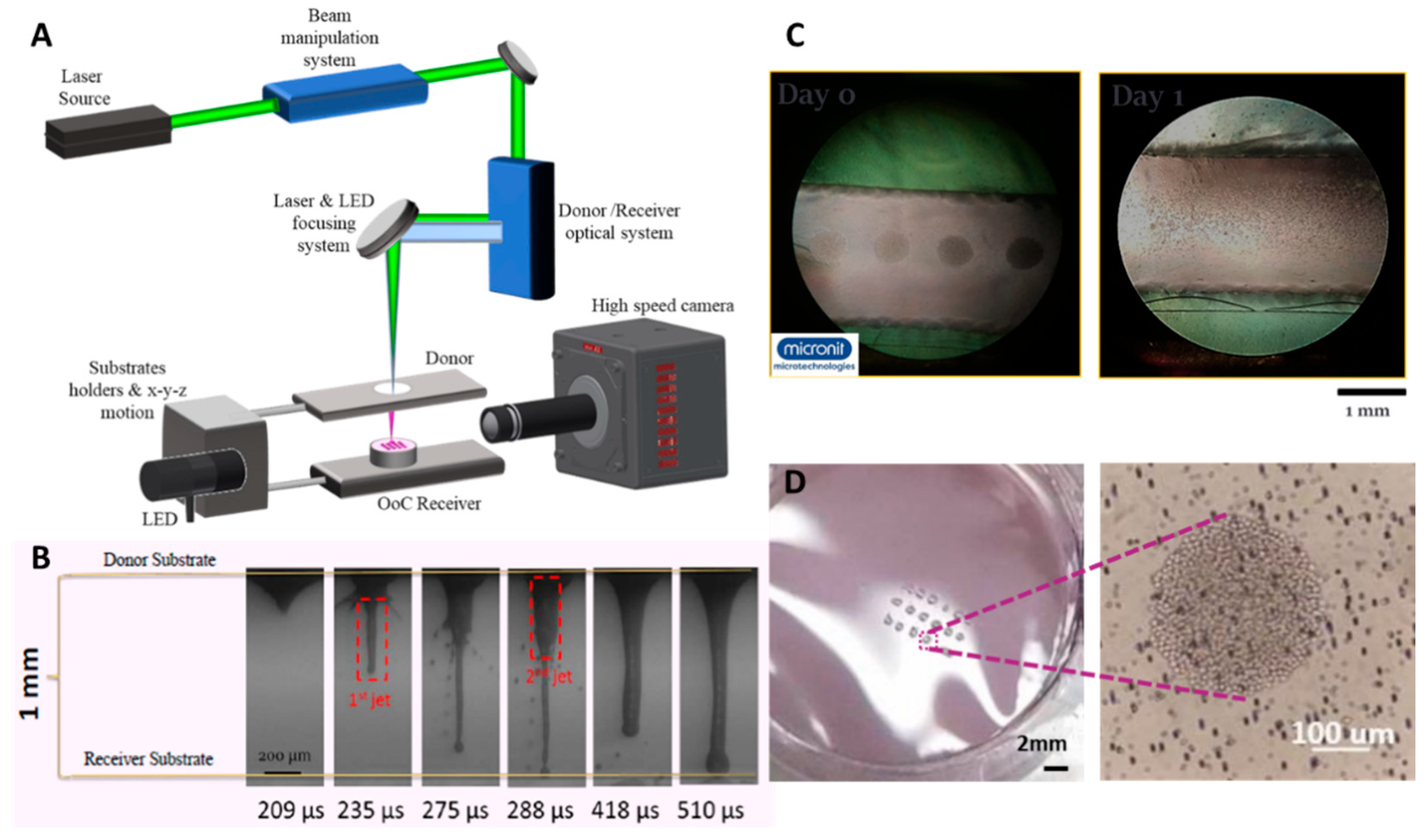 Biosensors 12 01135 g012