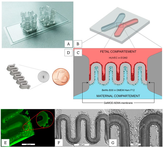 Bioprinting on Organ-on-Chip: Development and Applications