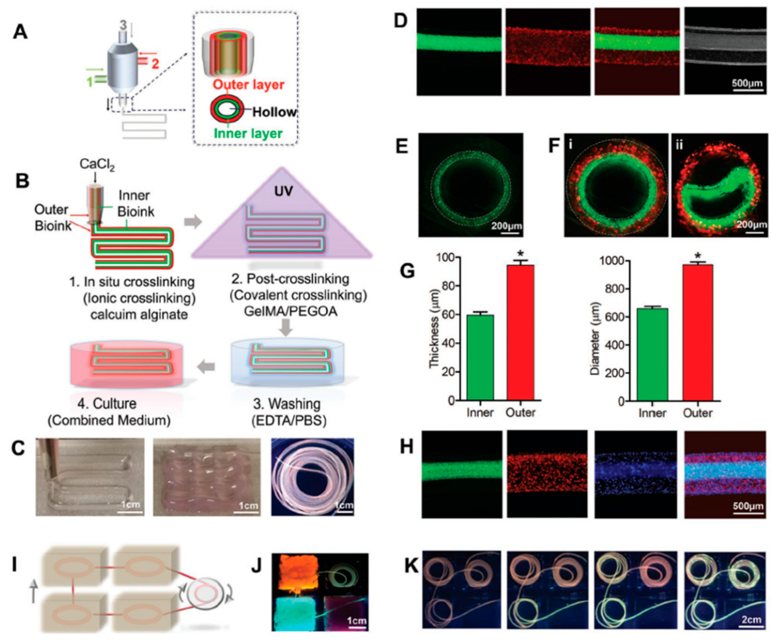 Biosensors 12 01135 g014
