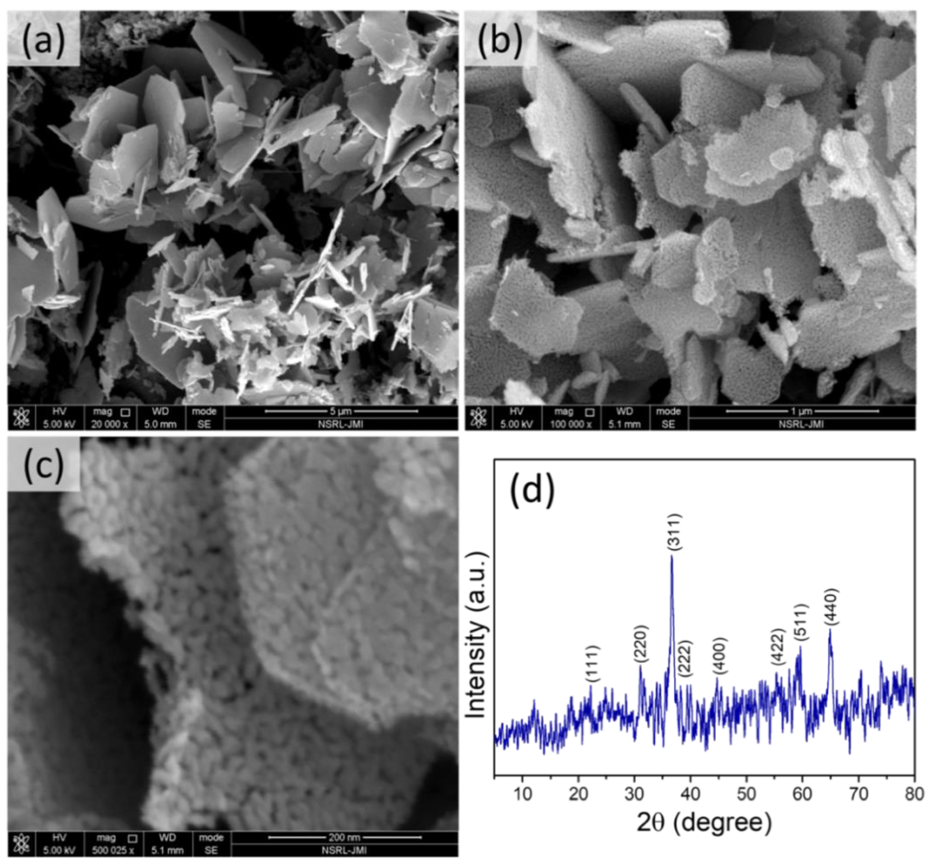 Biosensors 12 01140 g001 Biosensors 12 01140 g001