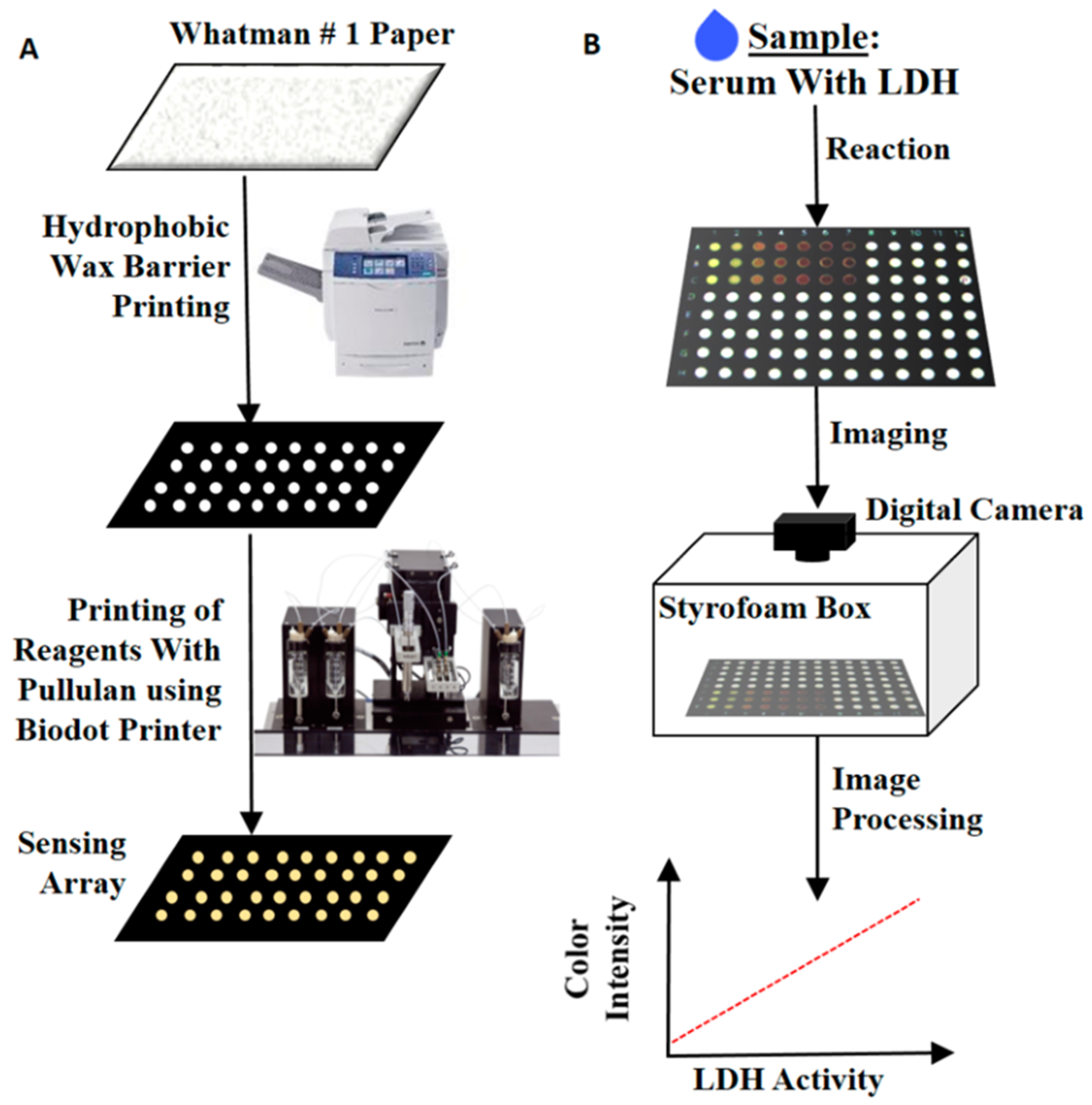 Biosensors 12 01145 g003