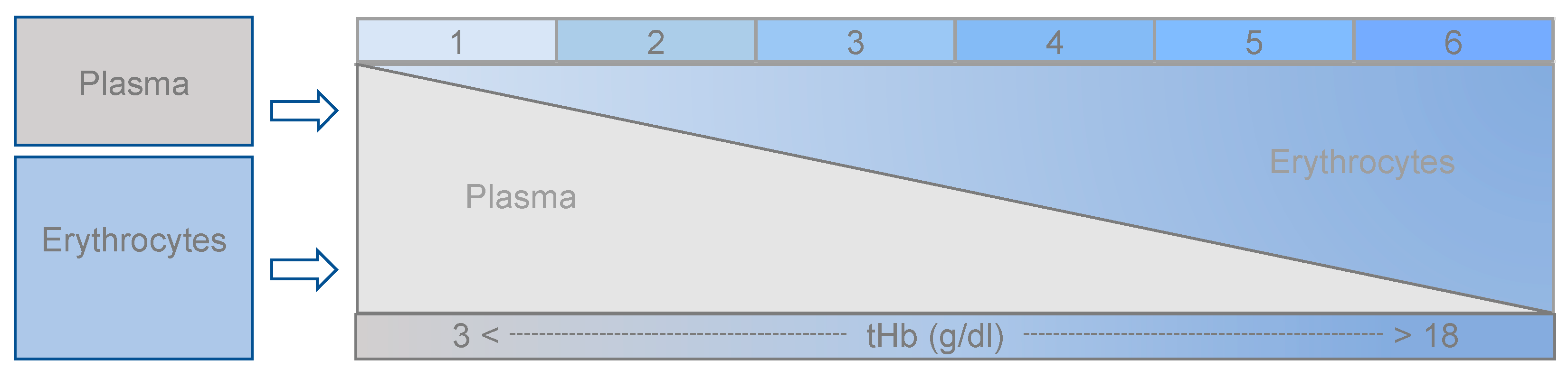 Biosensors 12 01147 g001 Biosensors 12 01147 g001
