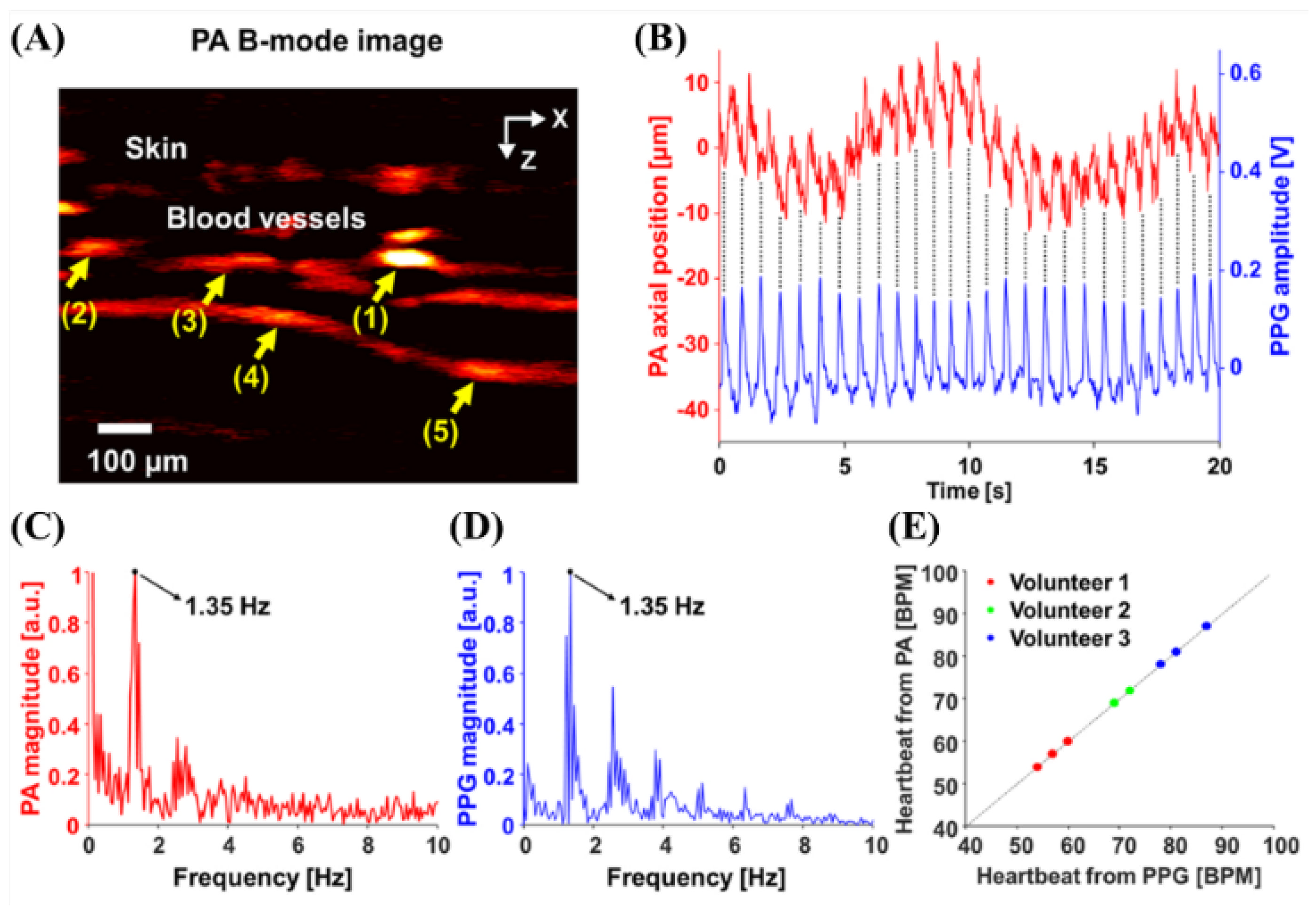 Biosensors 12 01154 g006