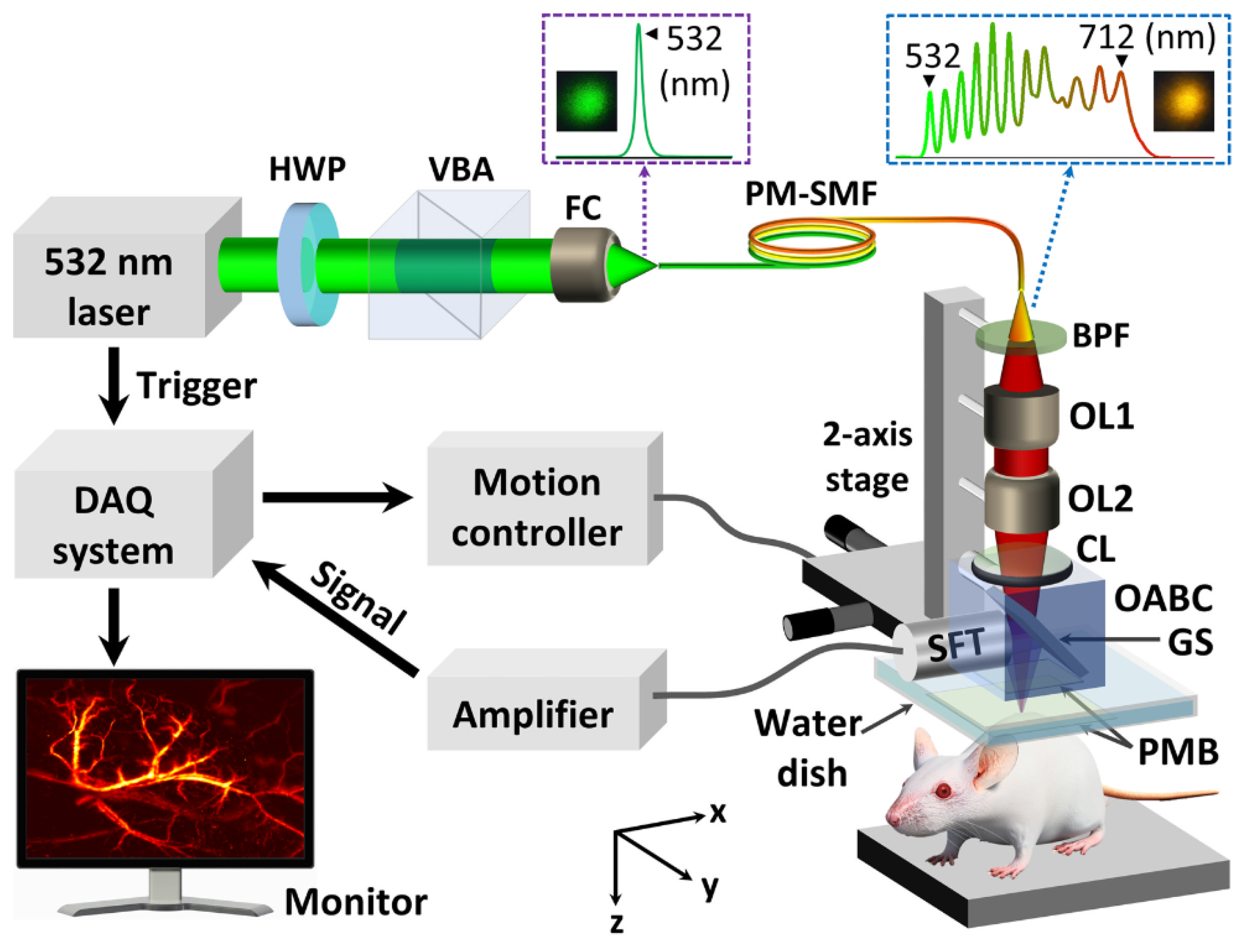 Biosensors 12 01154 g008