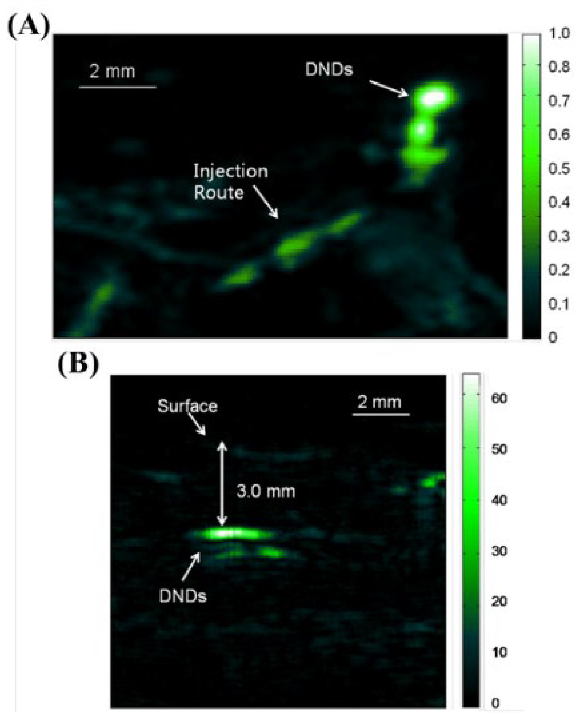 Biosensors 12 01154 g014