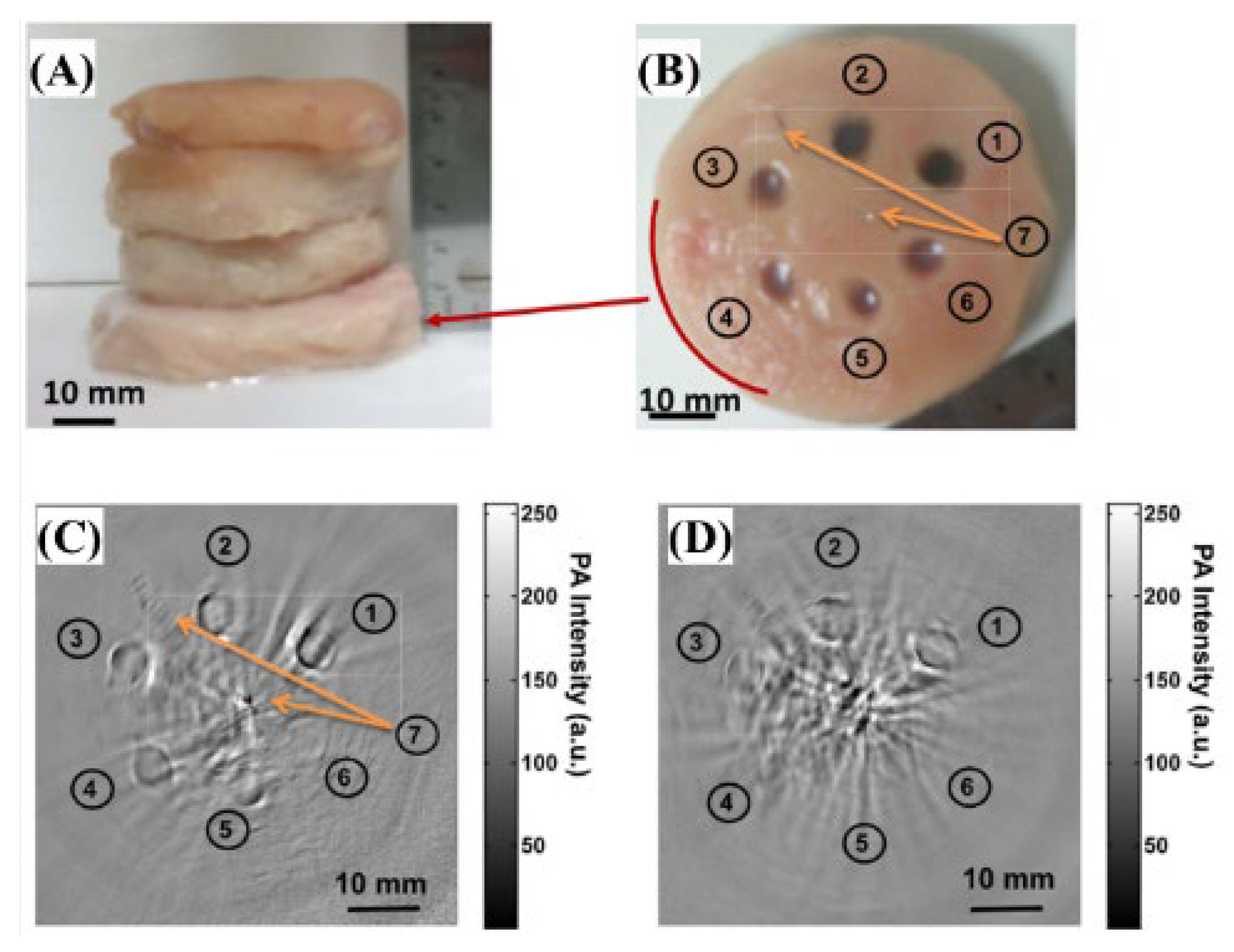 Biosensors 12 01154 g016
