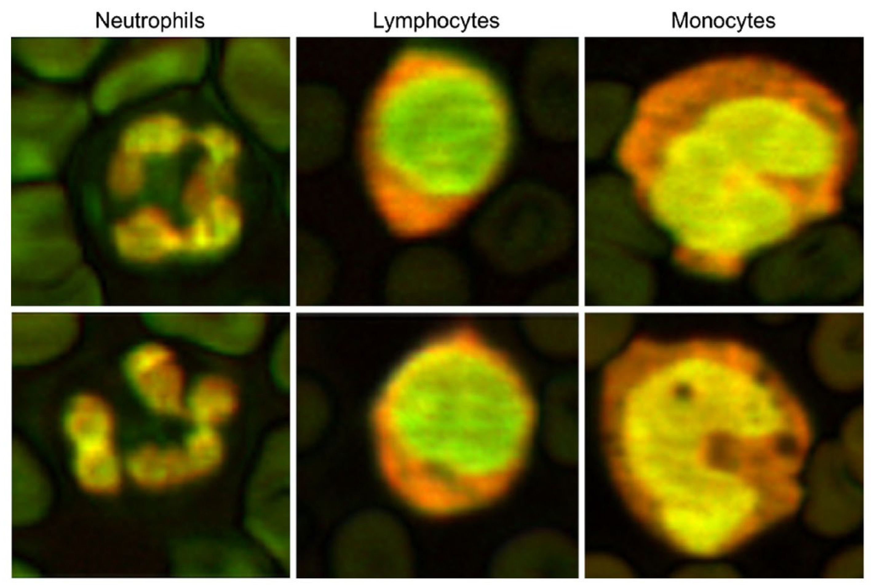 Biosensors 12 01154 g020
