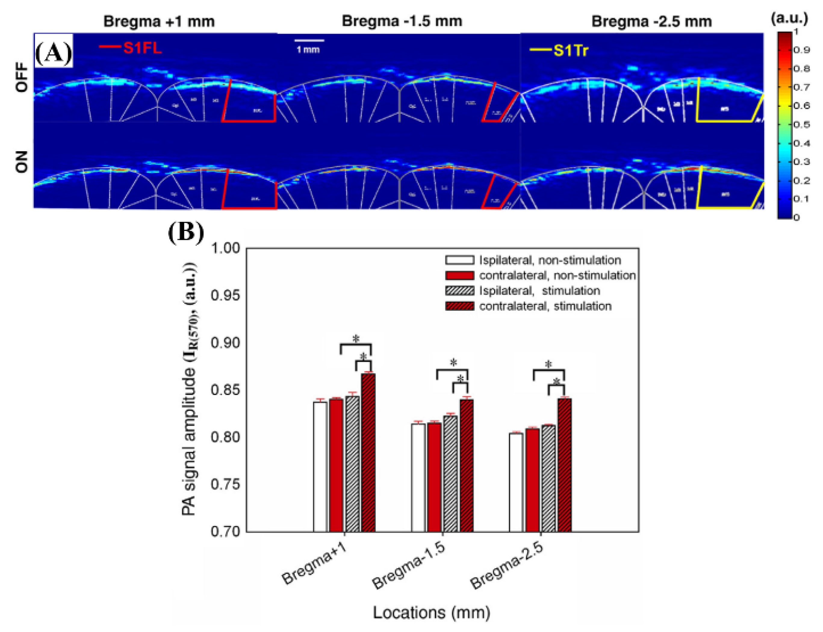 Biosensors 12 01154 g023