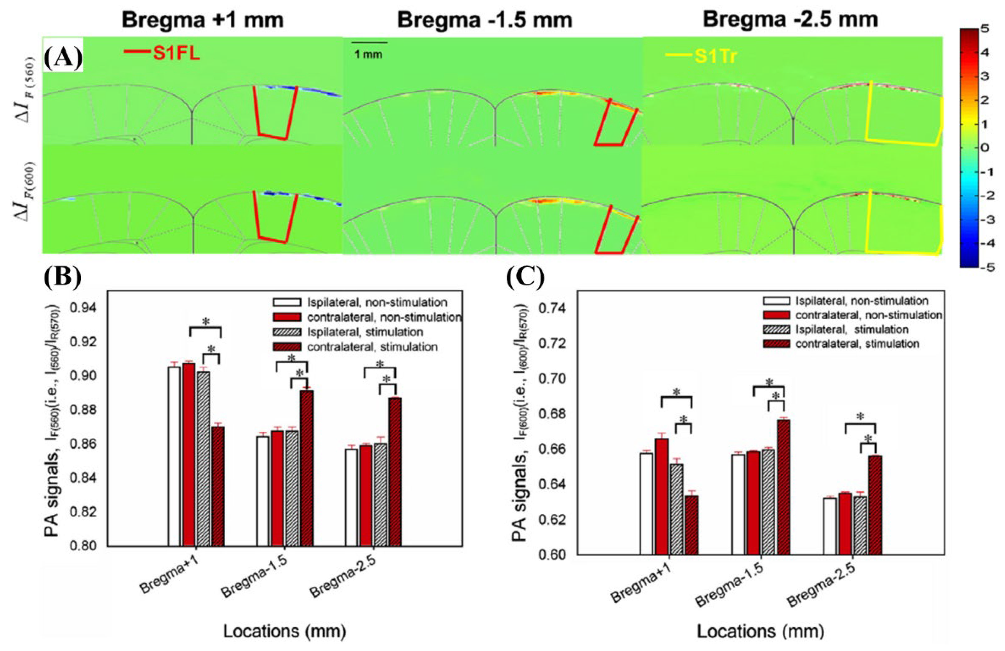 Biosensors 12 01154 g024