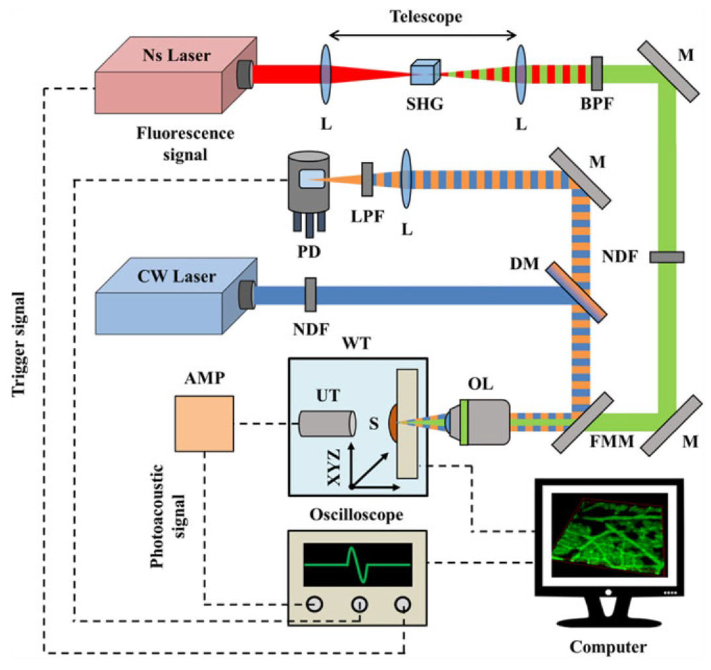 Biosensors 12 01154 g025