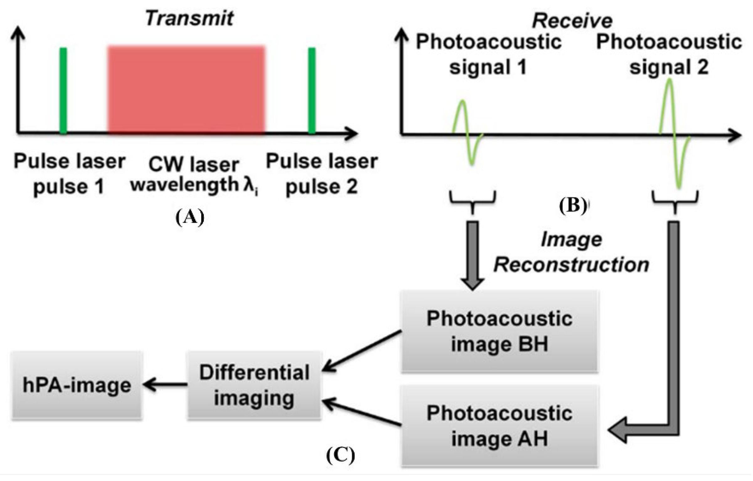 Biosensors 12 01154 g027