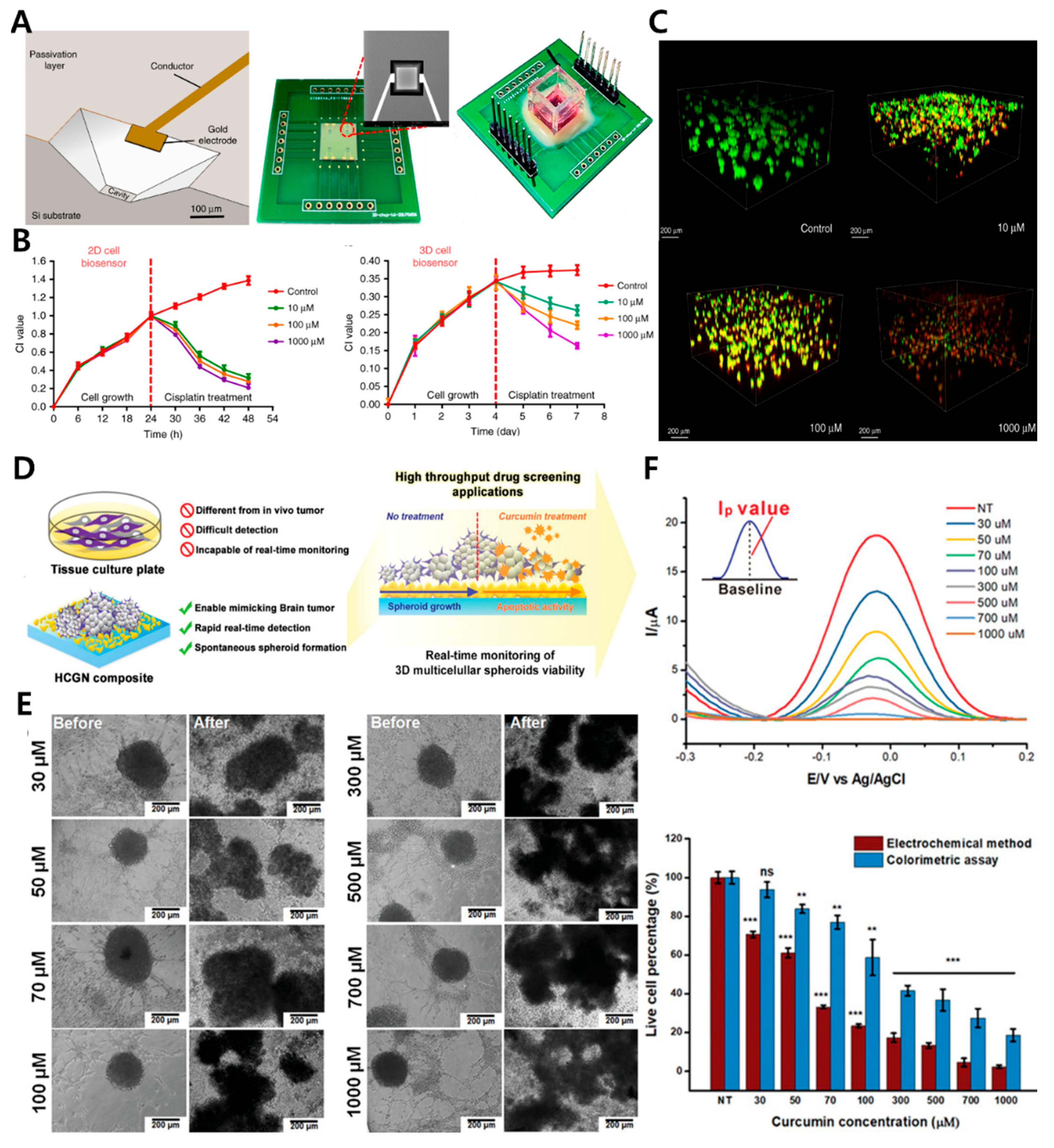 Biosensors 12 01162 g005 Biosensors 12 01162 g005