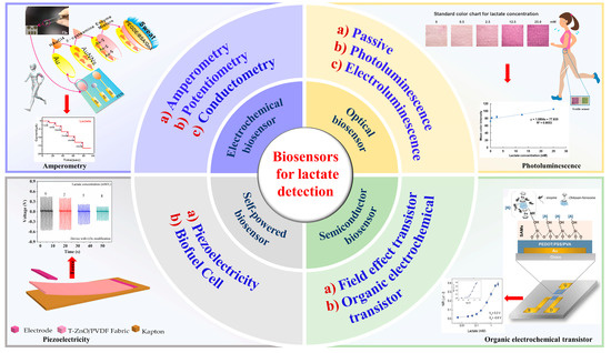 A Study on the Permeability and Damage Characteristics of