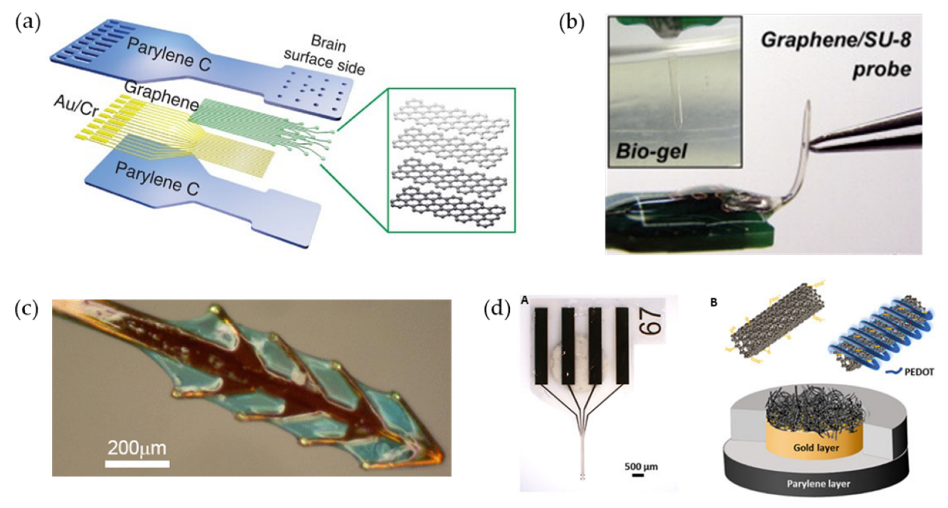 Biosensors 12 01167 g001