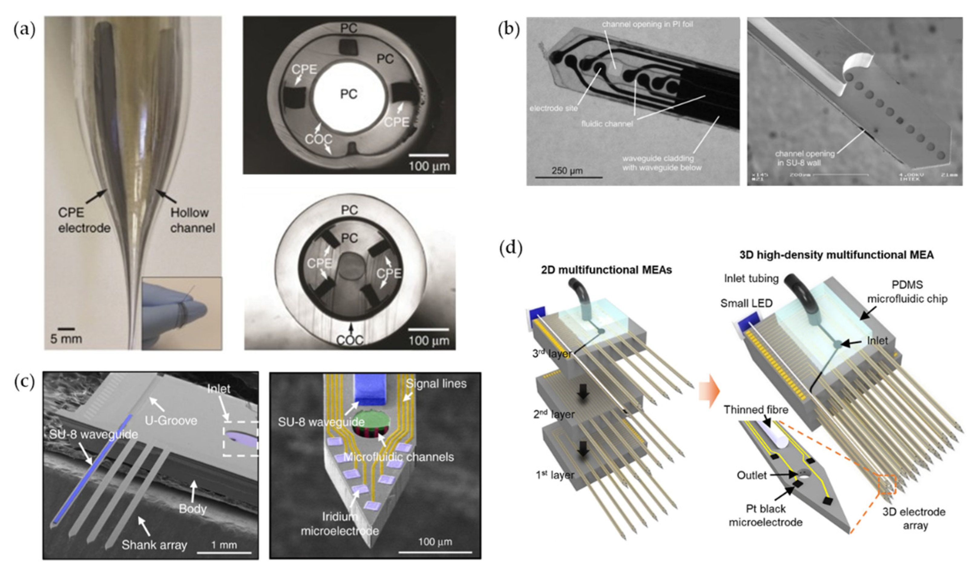 Biosensors 12 01167 g002